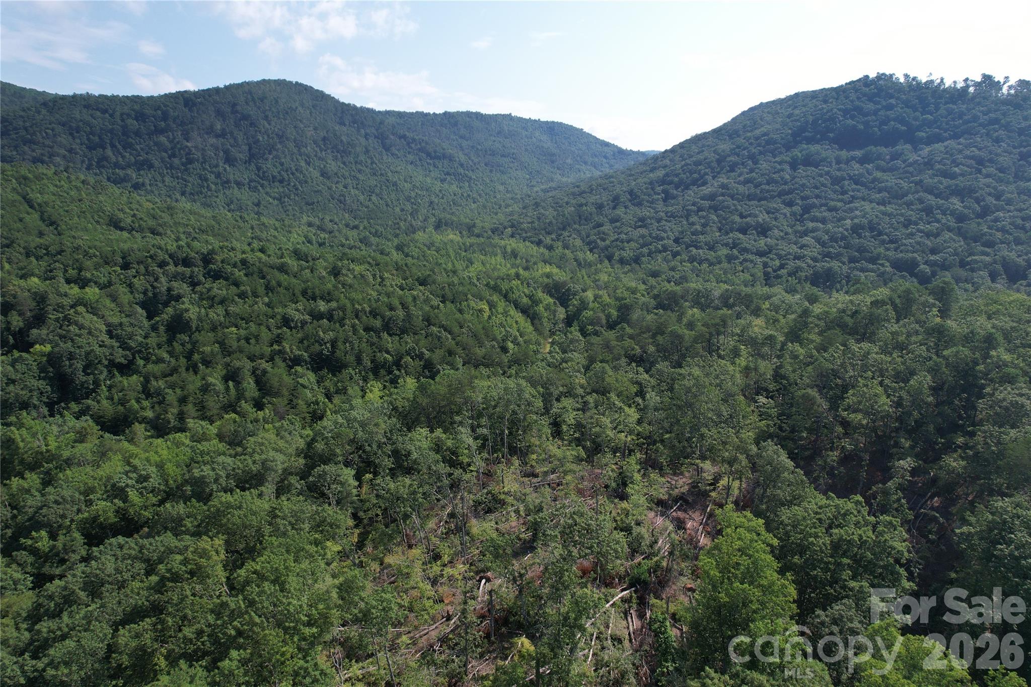 1st image of 0 Camp Mccall Rd, Bostic, NC 28018 | MLS# 4287266