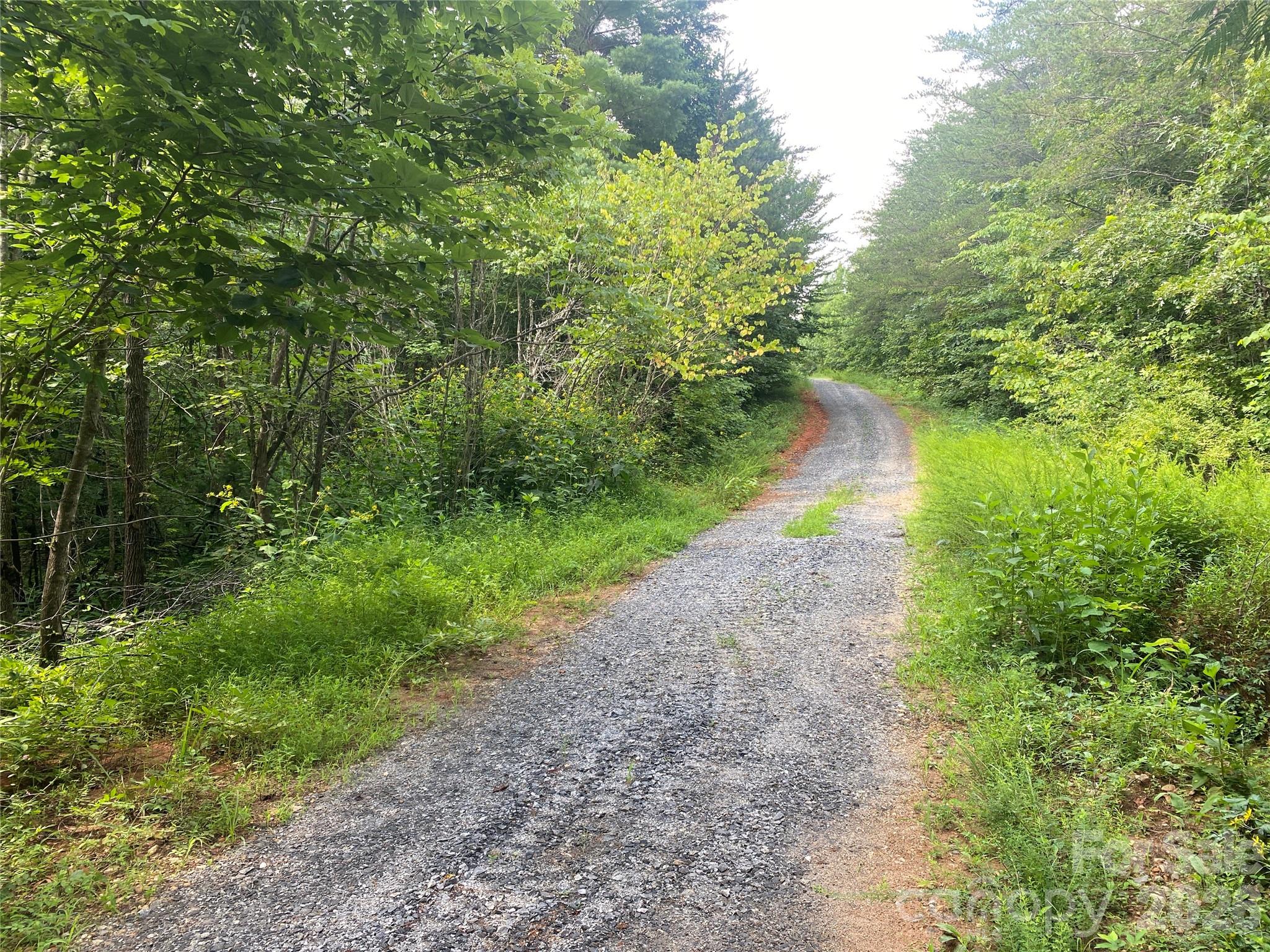 5th image of 0 Camp Mccall Rd, Bostic, NC 28018 | MLS# 4287266