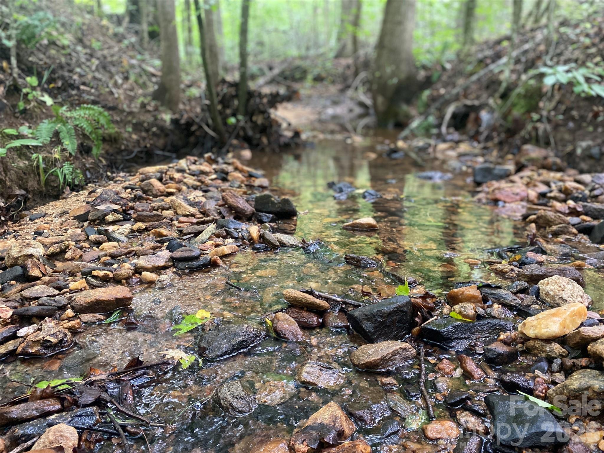 2nd image of 0 Camp Mccall Rd, Bostic, NC 28018 | MLS# 4287266