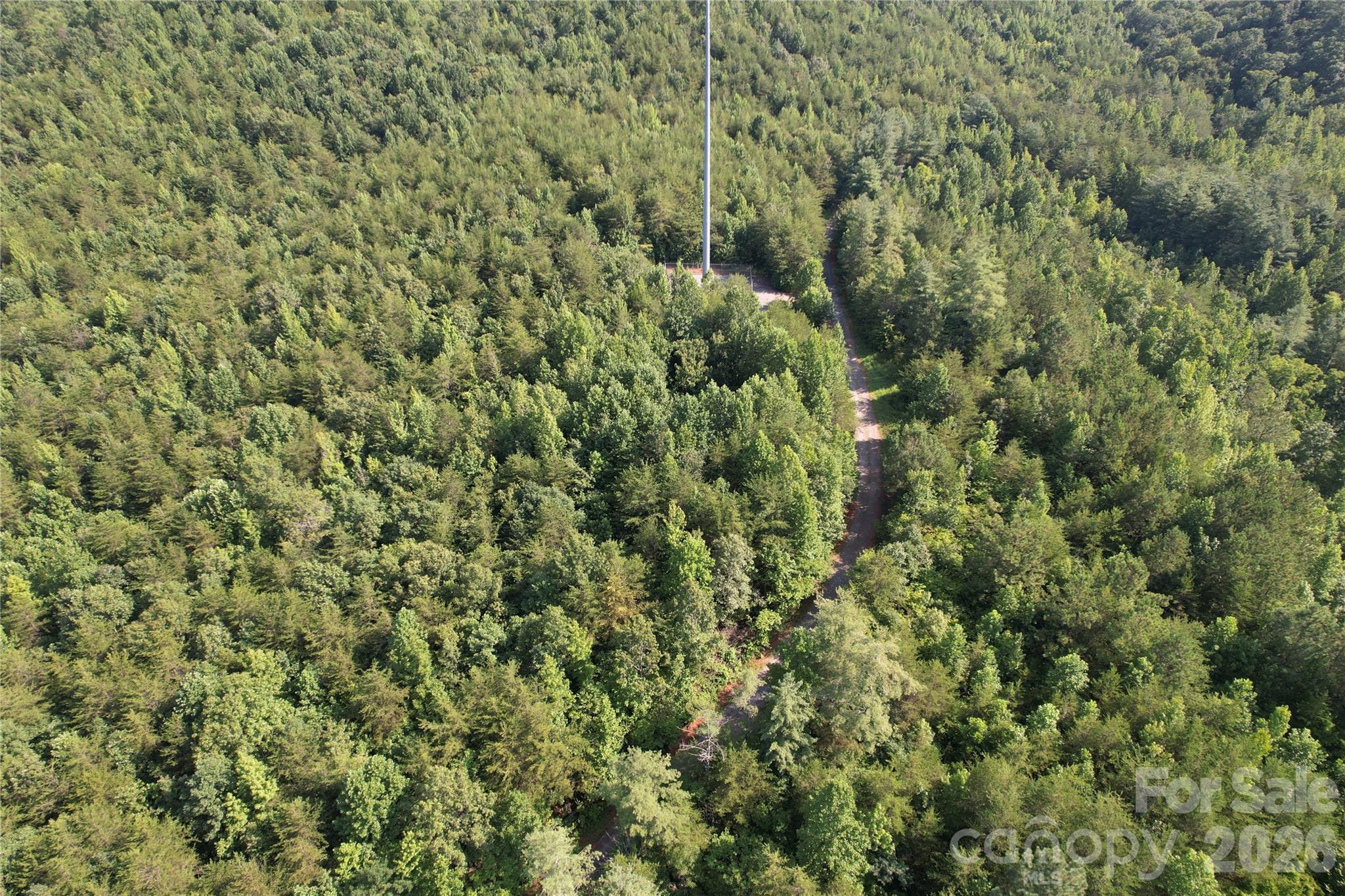 30th image of 0 Camp Mccall Rd, Bostic, NC 28018 | MLS# 4287266