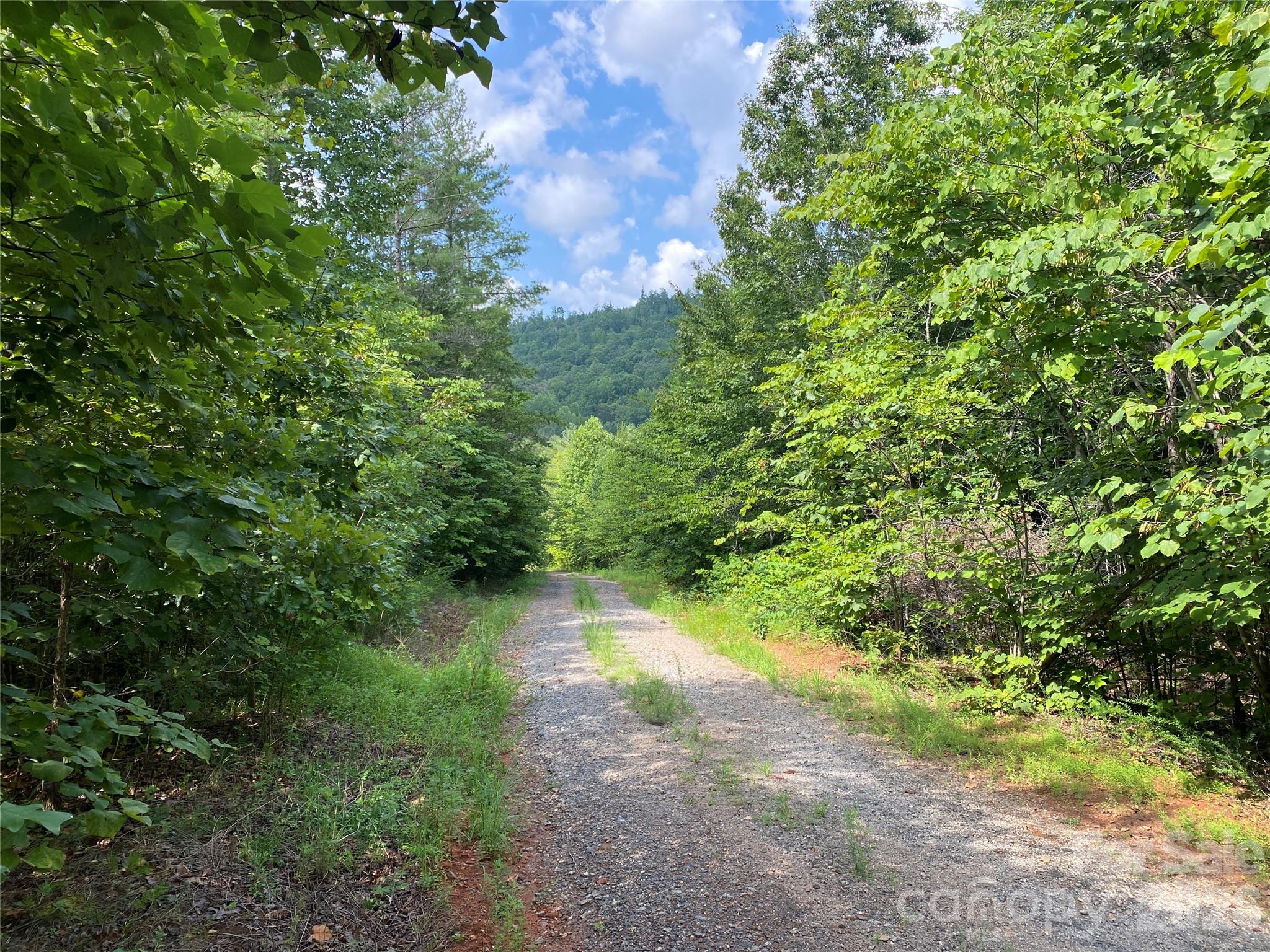 3rd image of 0 Camp Mccall Rd, Bostic, NC 28018 | MLS# 4287266