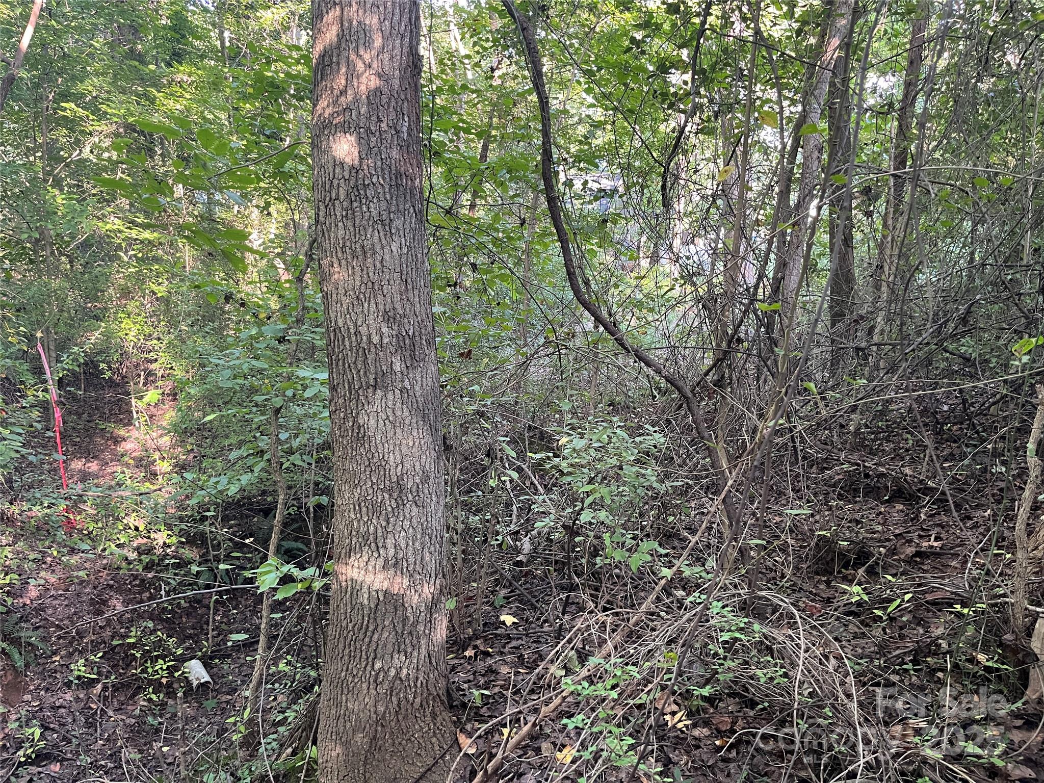 Homes for sale in Charlotte, NC | 9100 Dixie Dr, Charlotte, NC 28278 | MLS# 4293613