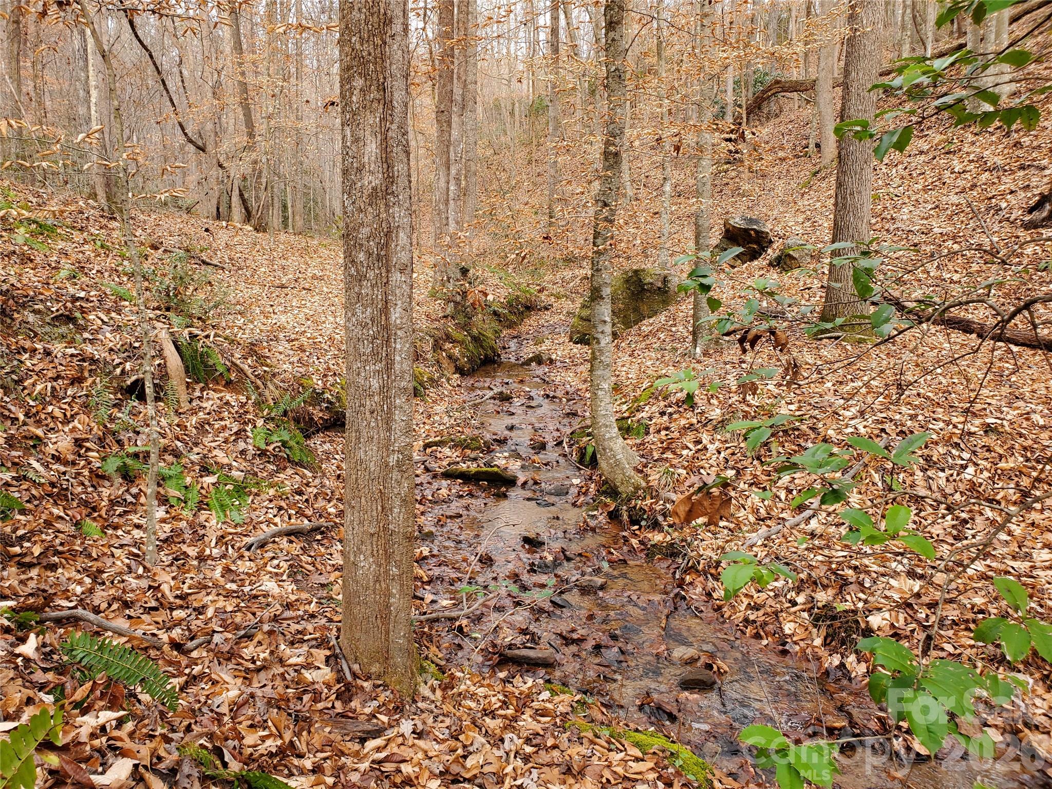 3rd image of 366 Boland Dr, Lake Lure, NC 28746 | MLS# 4306450