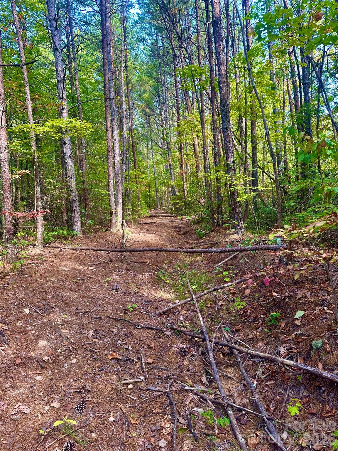 2nd image of 366 Boland Dr, Lake Lure, NC 28746 | MLS# 4306450