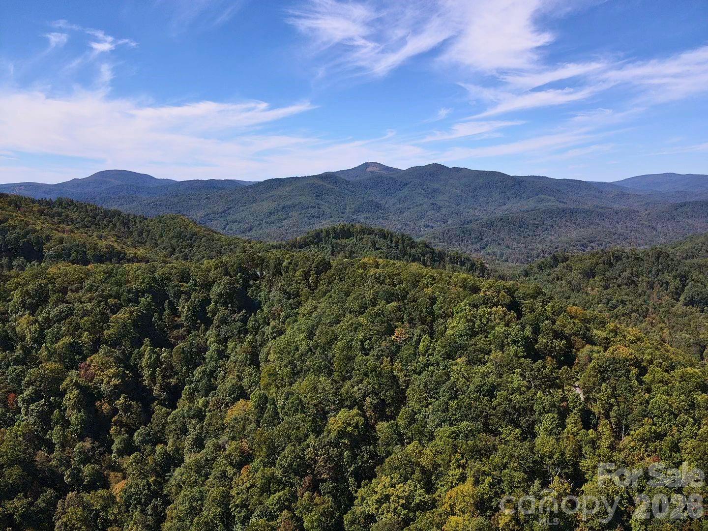 Homes for sale in Black Mountain, NC | 14 Johnny Farm Rd, Black Mountain, NC 28711 | MLS# 4309200