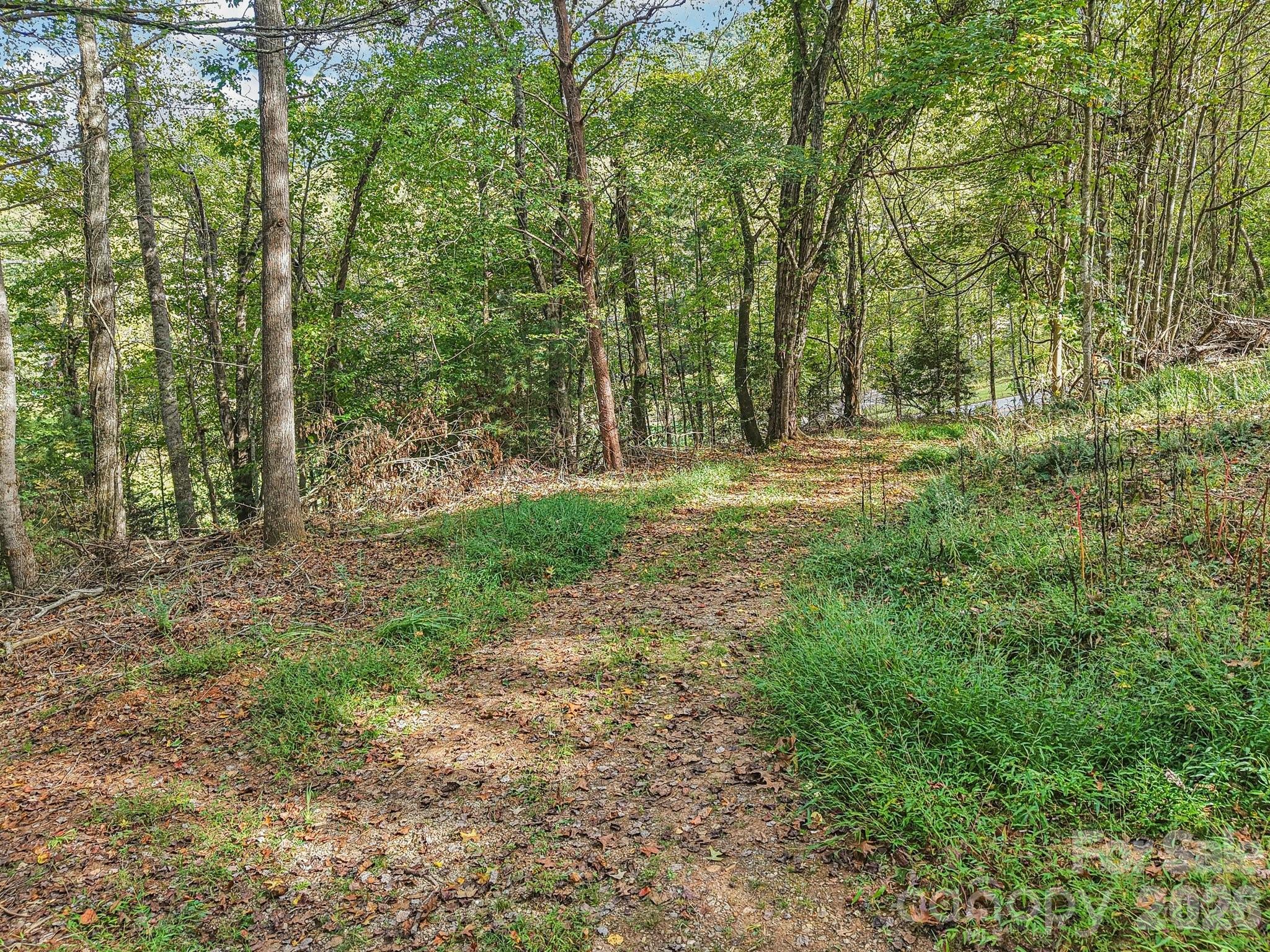 3rd image of Tbd Upper Glady Fork Rd, Candler, NC 28715 | MLS# 4310505