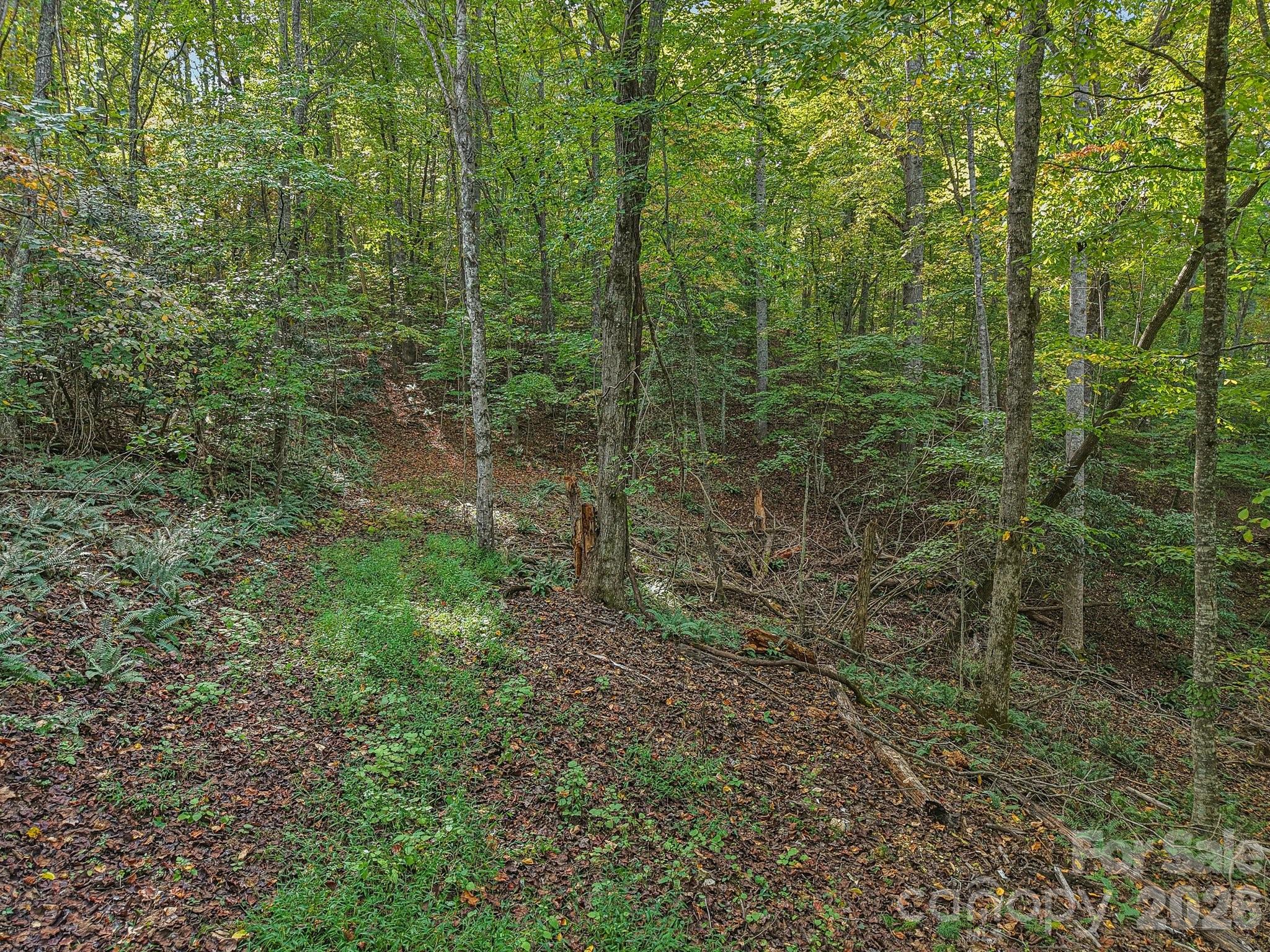5th image of Tbd Upper Glady Fork Rd, Candler, NC 28715 | MLS# 4310505