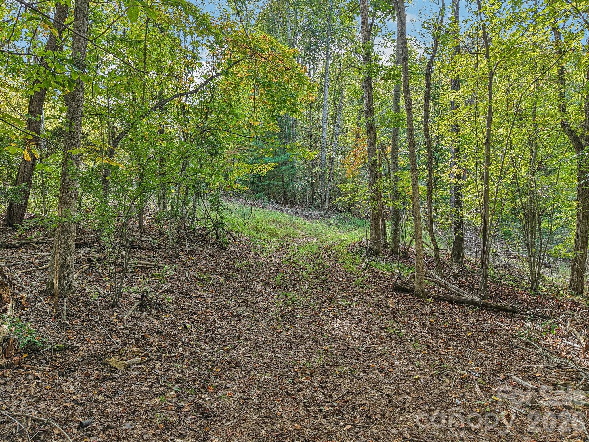 4th image of Tbd Upper Glady Fork Rd, Candler, NC 28715 | MLS# 4310505