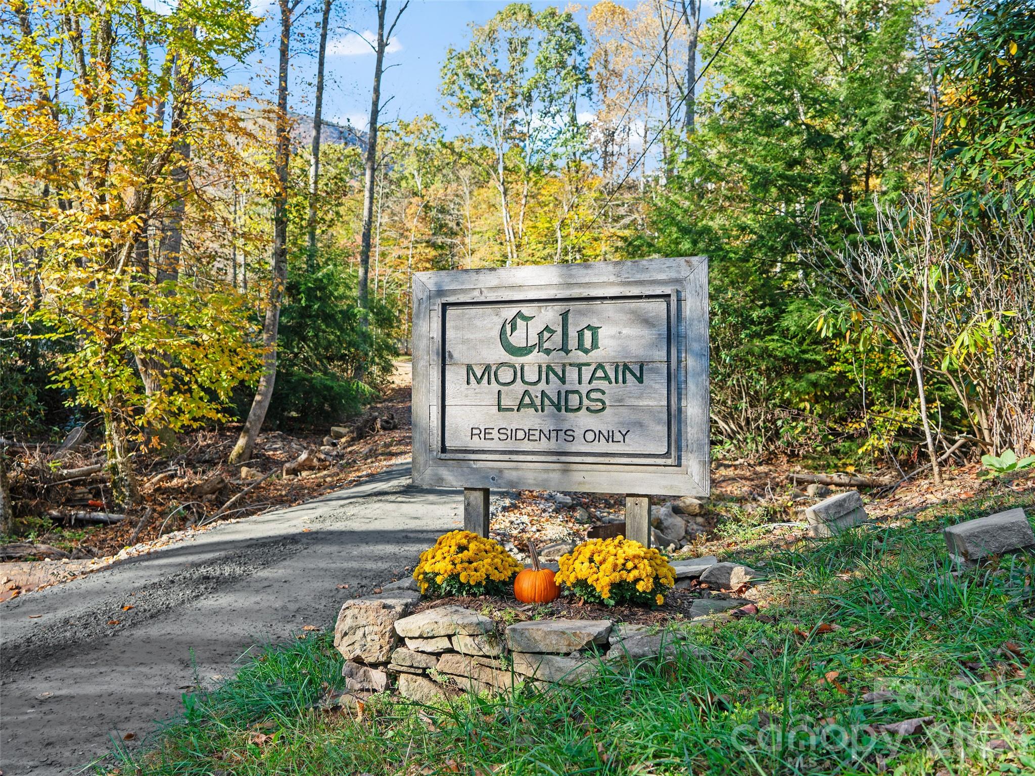 Homes for sale in Burnsville, NC | Lt 42 Hickory Springs Rd #42, Burnsville, NC 28714 | MLS# 4311676