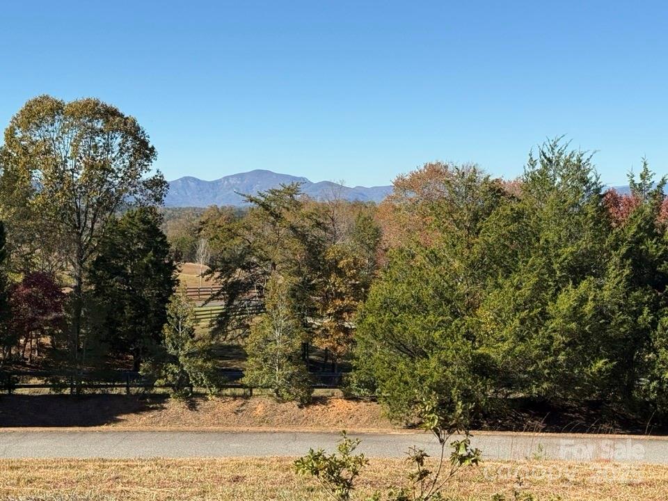 Homes for sale in Mill Spring, NC | 6 Rachel Bell Rd, Mill Spring, NC 28756 | MLS# 4311830