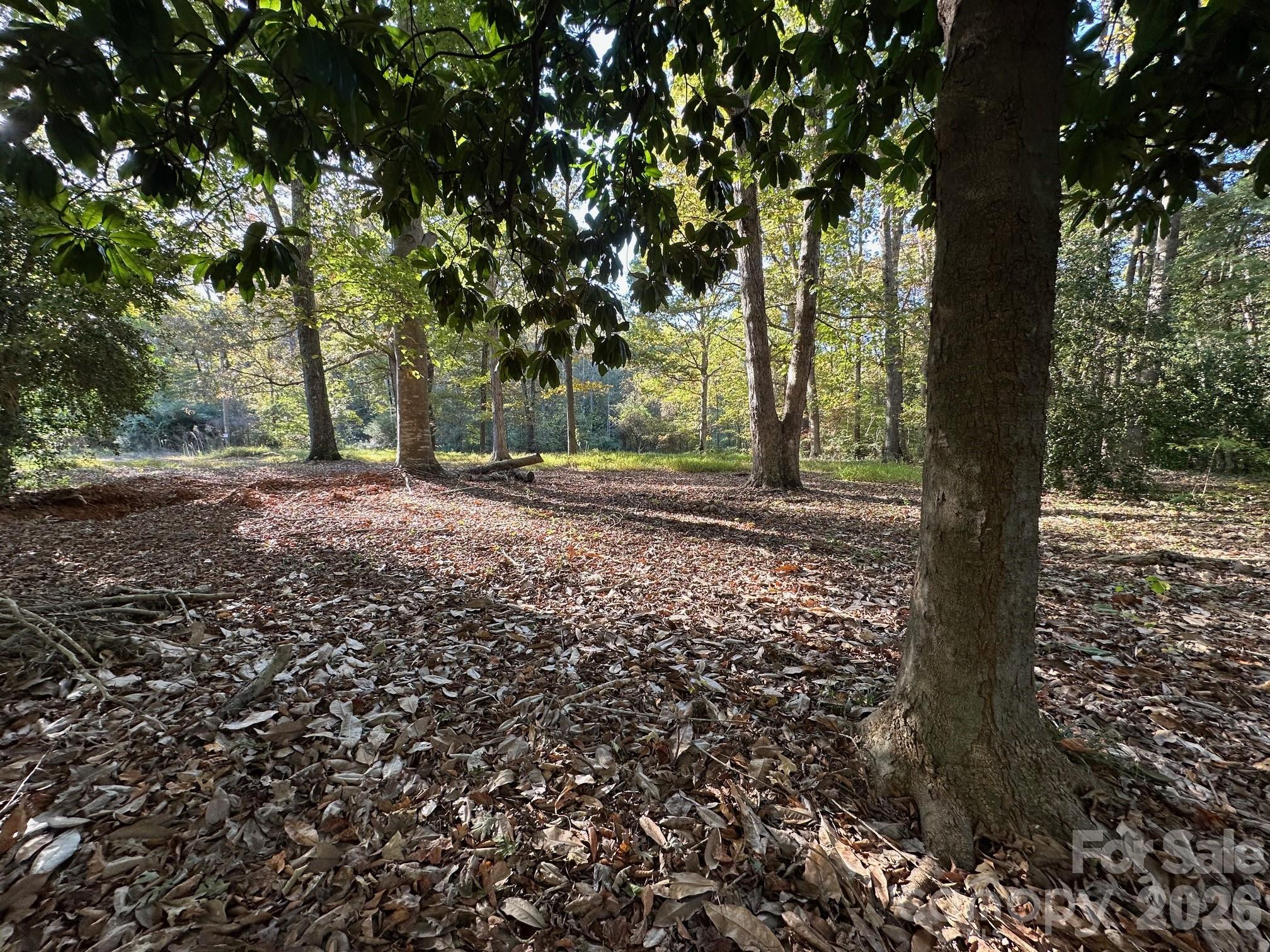 Homes for sale in Yadkinville, NC | 0 Courtney  Huntsville Rd #1, Yadkinville, NC 27055 | MLS# 4312164