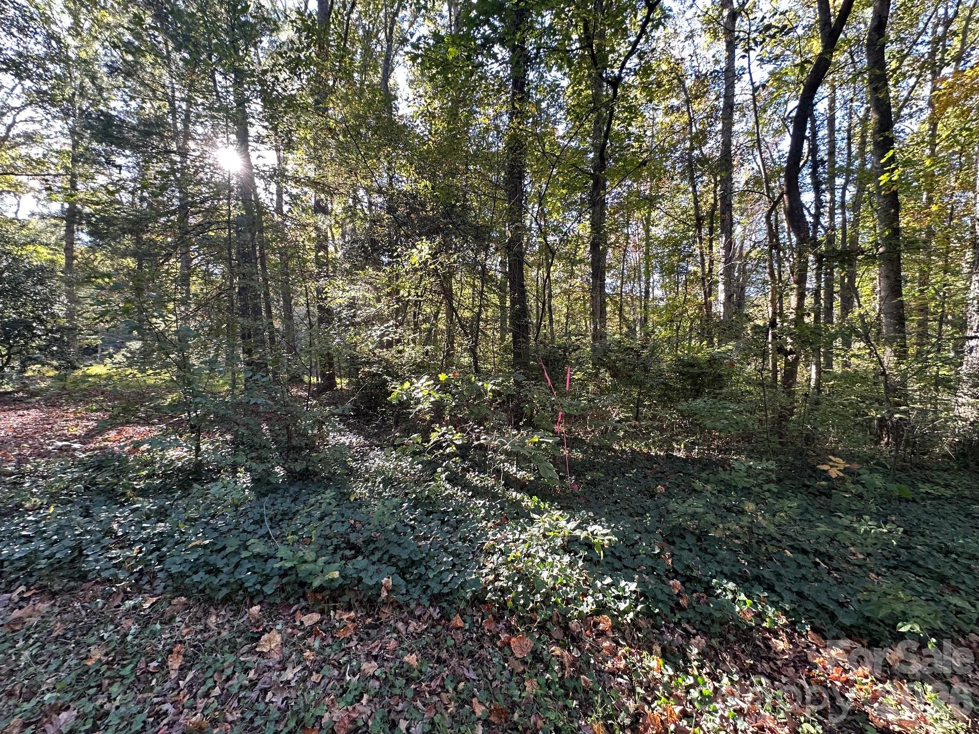 Homes for sale in Yadkinville, NC | 0 Courtney- Huntsville Rd #1, Yadkinville, NC 27055 | MLS# 4312164