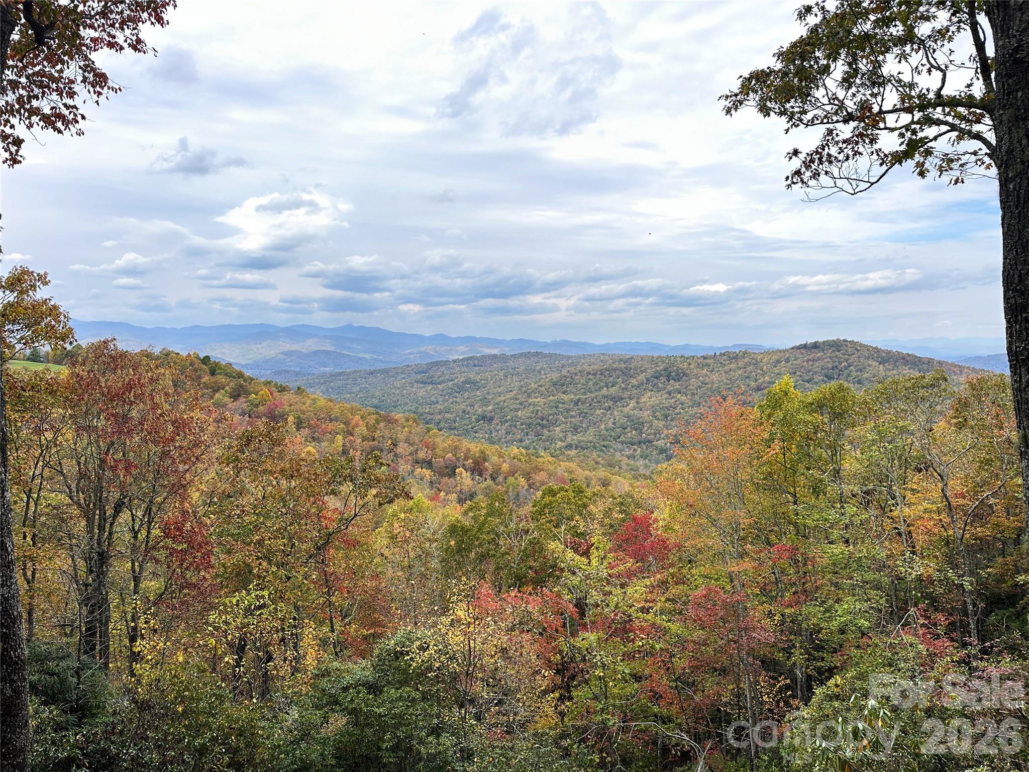 Photo 4 of Single family home for sale at 243 Ridgeline Dr, Brevard, NC 28712 | MLS# 4313542 | Listing updated on 2026-09-04