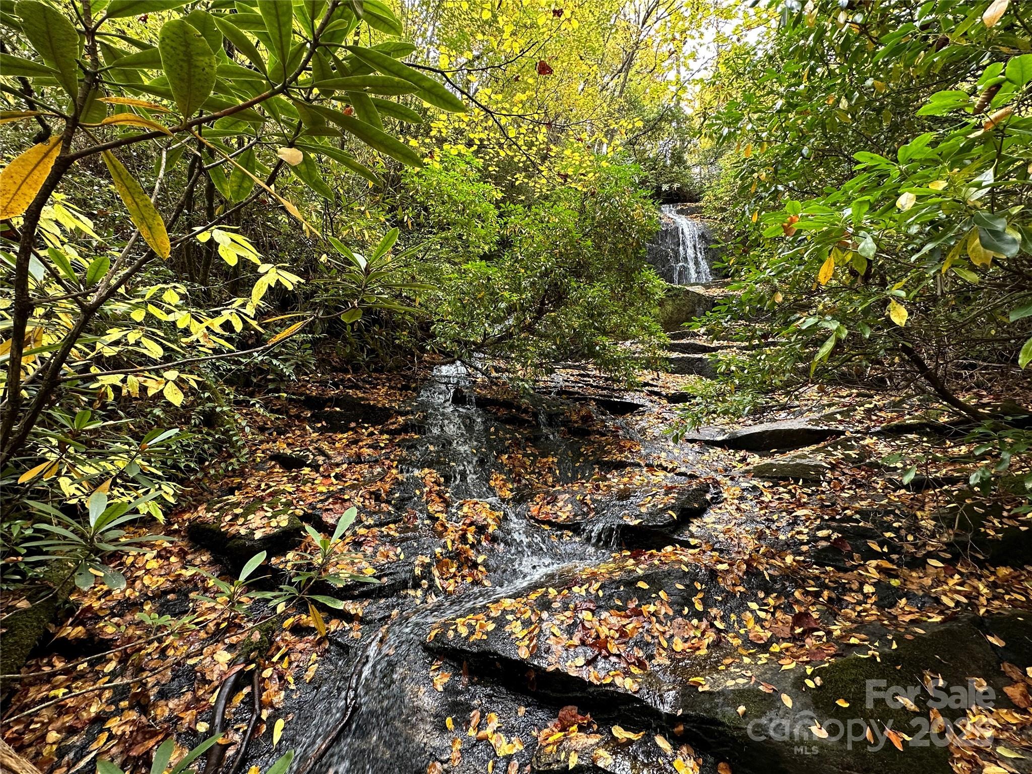Homes for sale in Brevard, NC | 243 Ridgeline Dr, Brevard, NC 28712 | MLS# 4313542