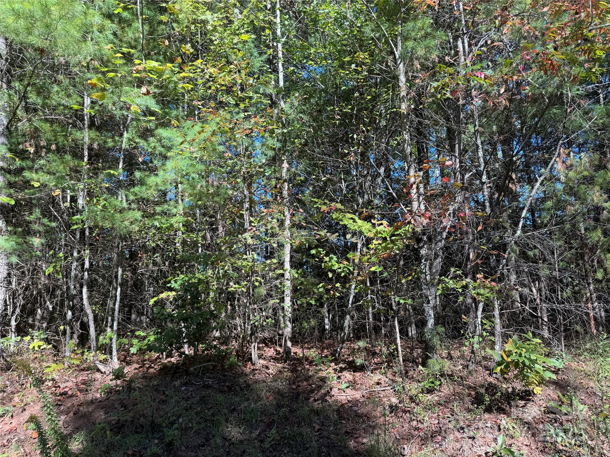 Homes for sale in Murphy, NC | 0000 River Hill Rd, Murphy, NC 28906 | MLS# 4314411