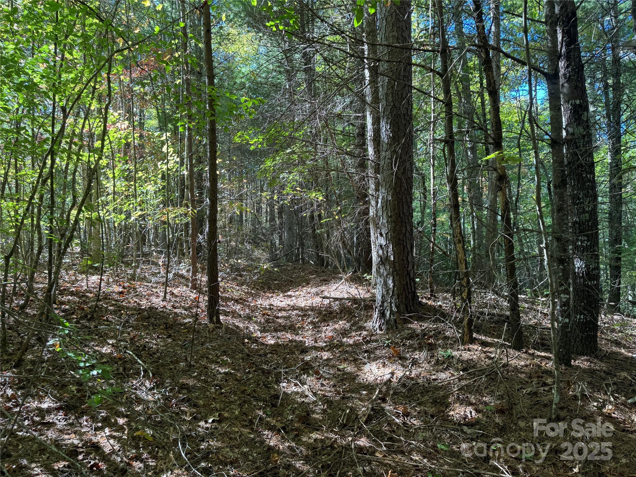 Homes for sale in Murphy, NC | 0000 River Hill Rd, Murphy, NC 28906 | MLS# 4314411