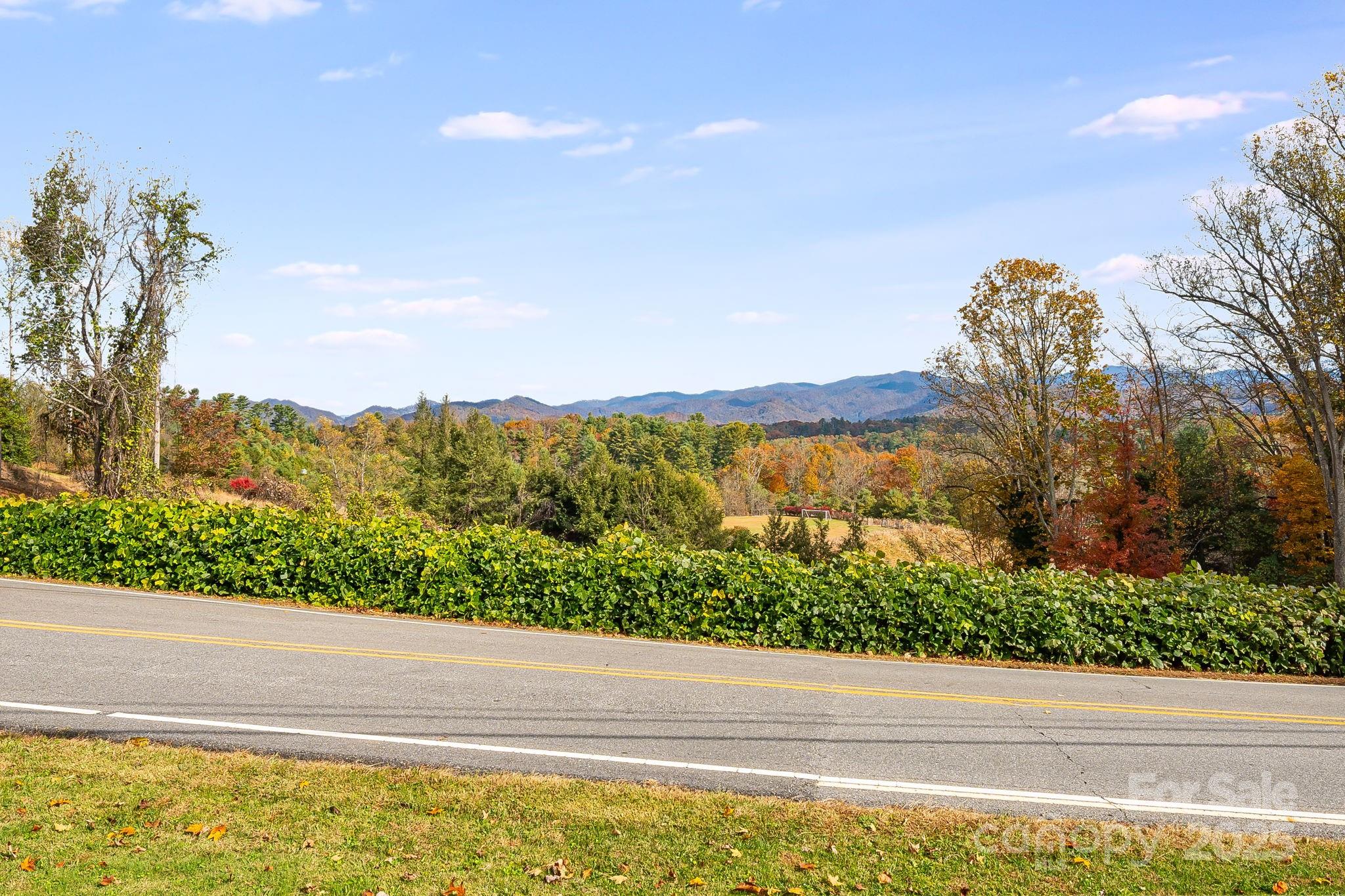 Homes for sale in Mars Hill, NC | 23 Duck Dr #Lot 1/ Units A & B, Mars Hill, NC 28754 | MLS# 4316829