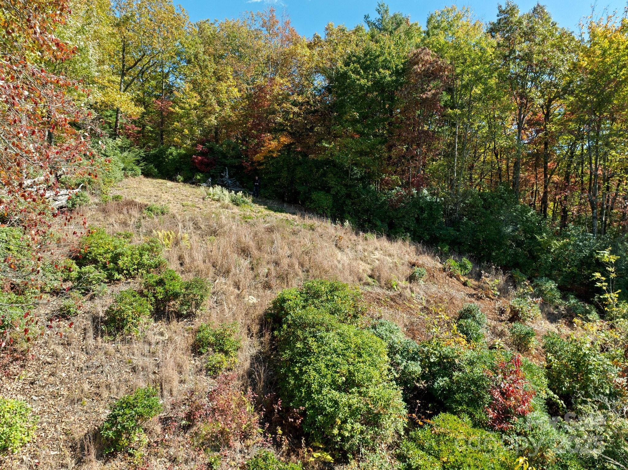 Homes for sale in Rosman, NC | Tbd Sassafras Rdg #36, Rosman, NC 28772 | MLS# 4317123