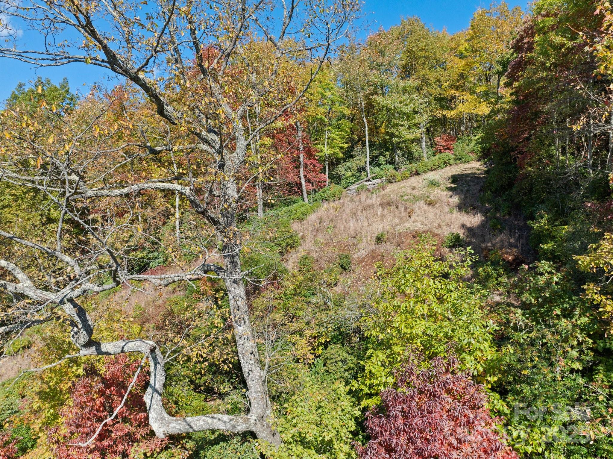 Homes for sale in Rosman, NC | Tbd Sassafras Rdg #36, Rosman, NC 28772 | MLS# 4317123