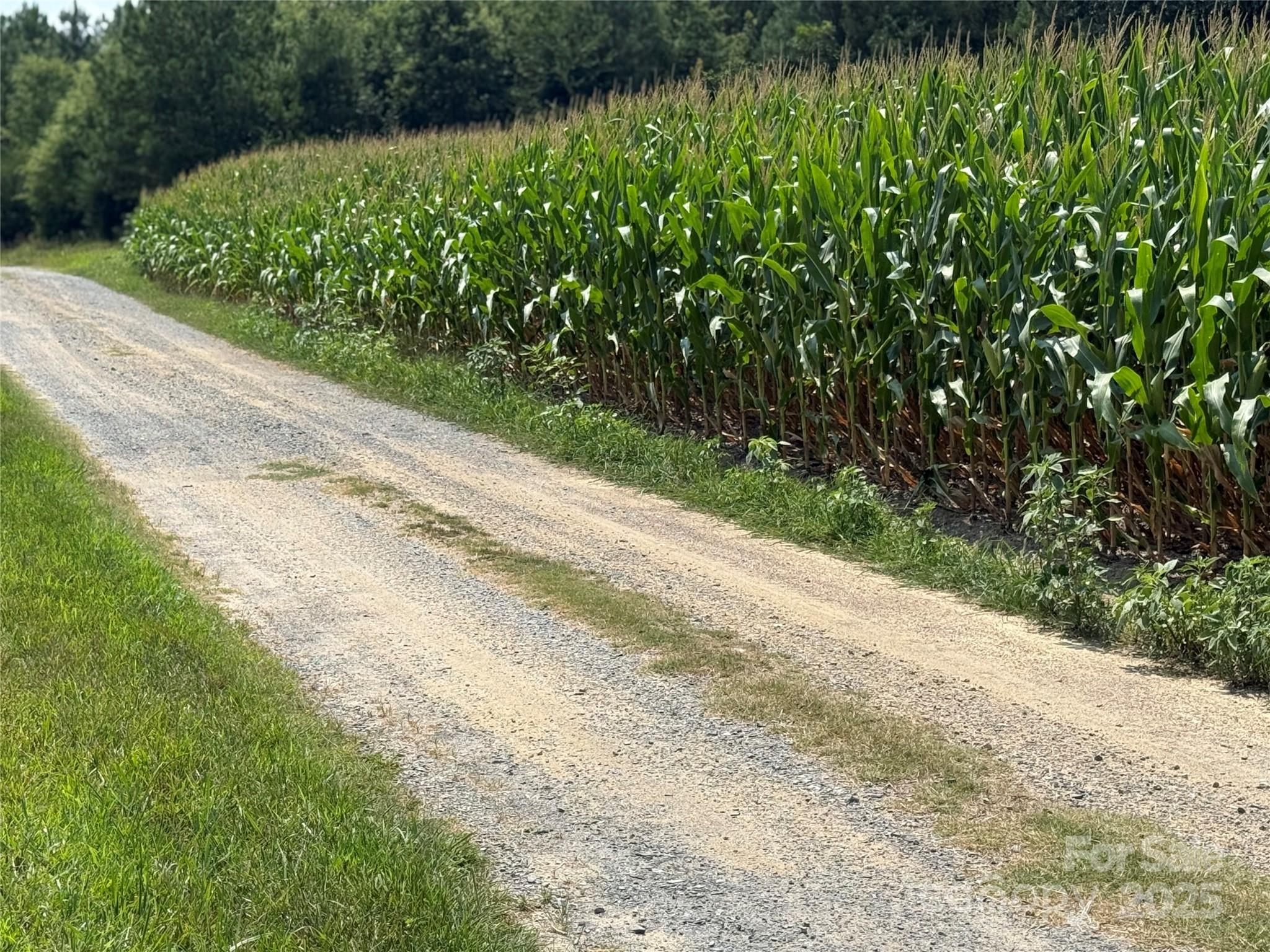 Homes for sale in Monroe, NC | 1 Acorn Ln, Monroe, NC 28112 | MLS# 4317163