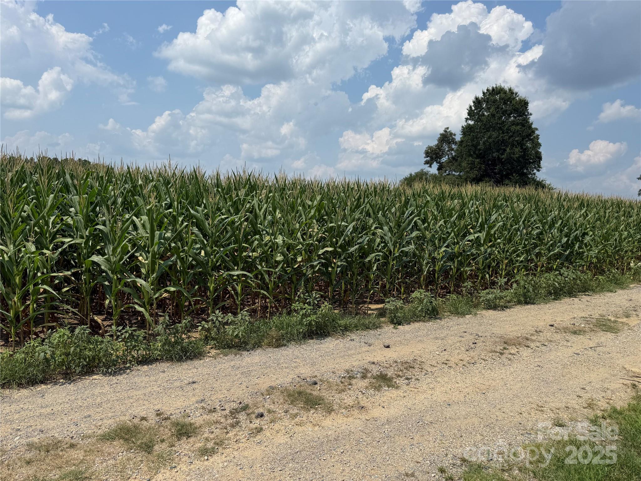 Homes for sale in Monroe, NC | 1 Acorn Ln, Monroe, NC 28112 | MLS# 4317163