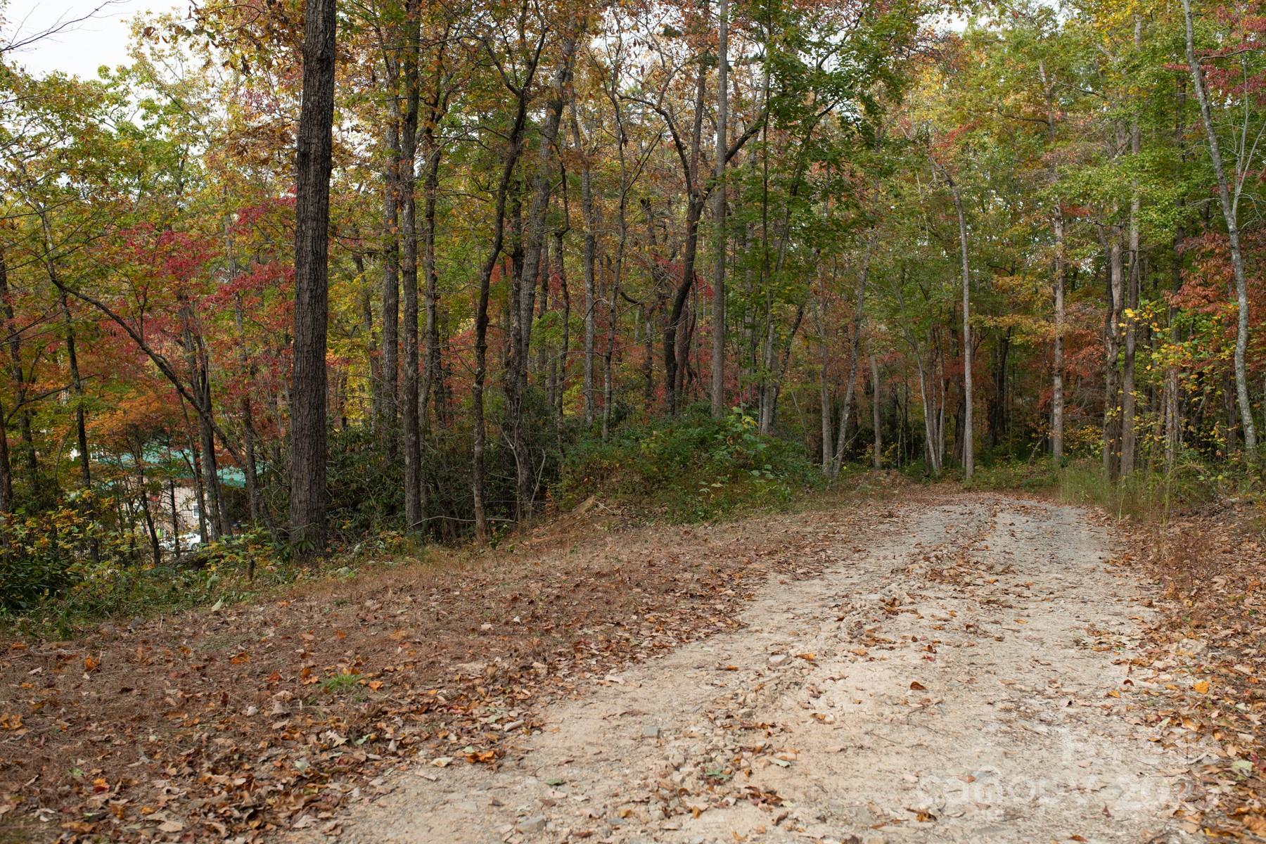 Homes for sale in Old Fort, NC | 154 South Slope Ln #18, Old Fort, NC 74848 | MLS# 4318298