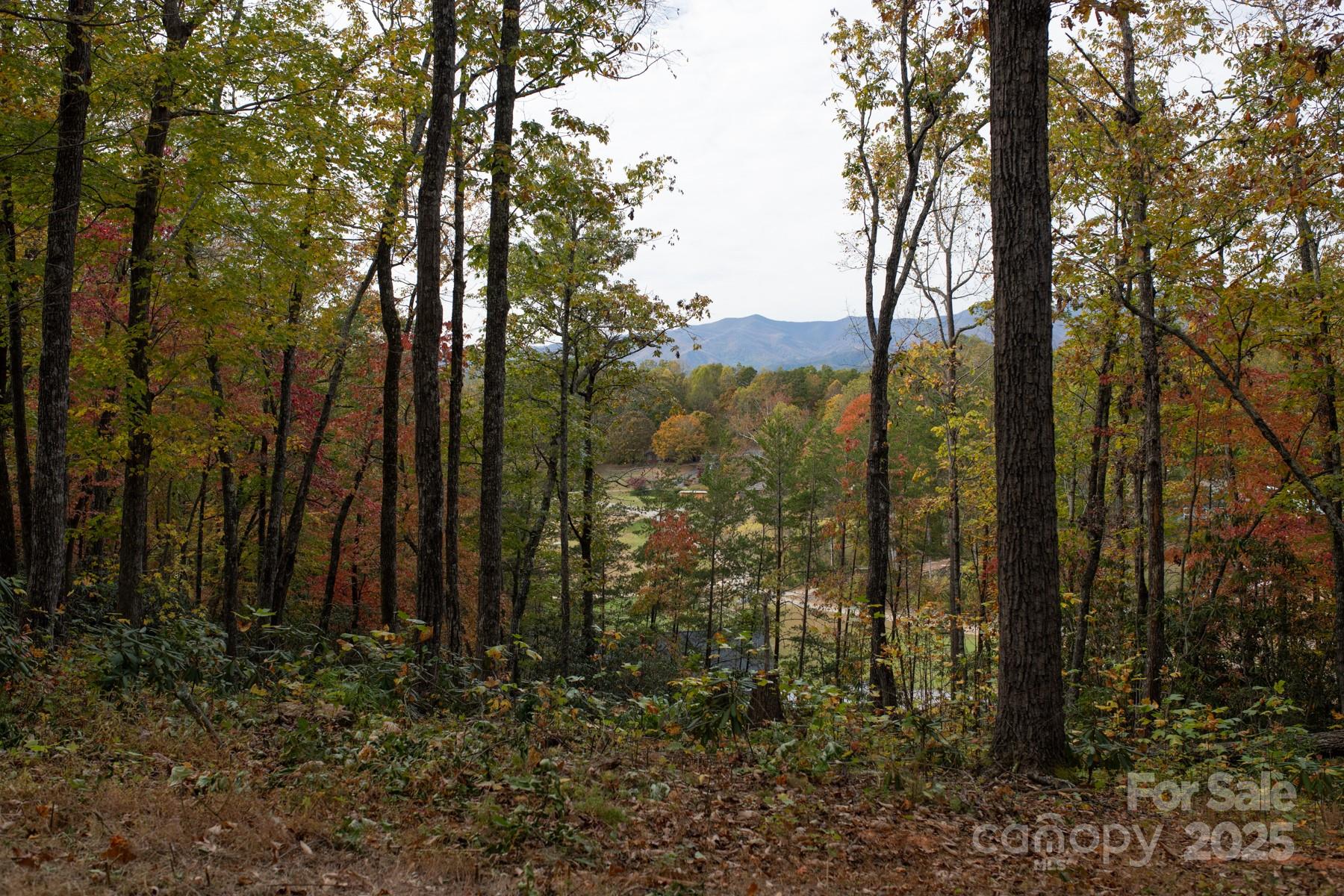 Homes for sale in Old Fort, NC | 154 South Slope Ln #18, Old Fort, NC 74848 | MLS# 4318298