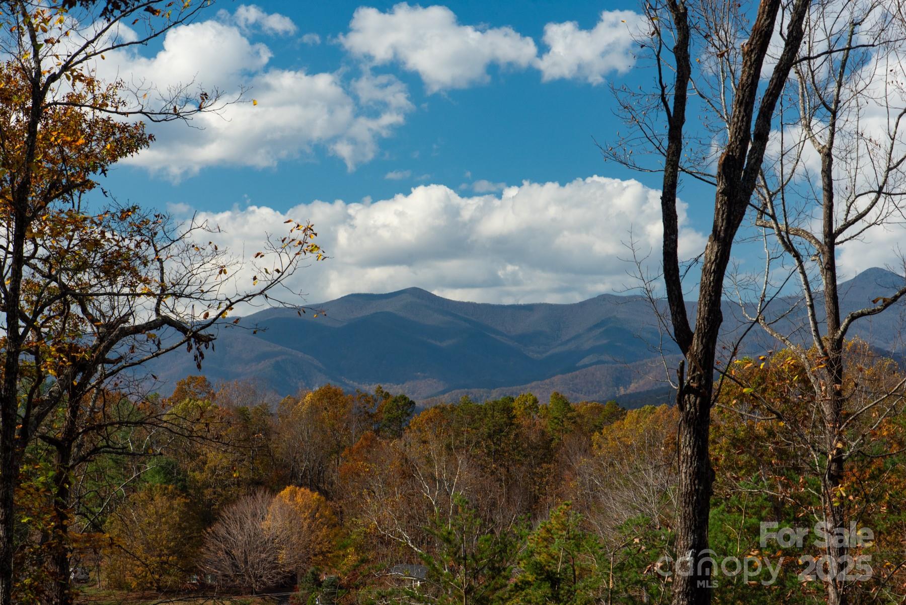 Homes for sale in Old Fort, NC | 154 South Slope Ln #18, Old Fort, NC 74848 | MLS# 4318298