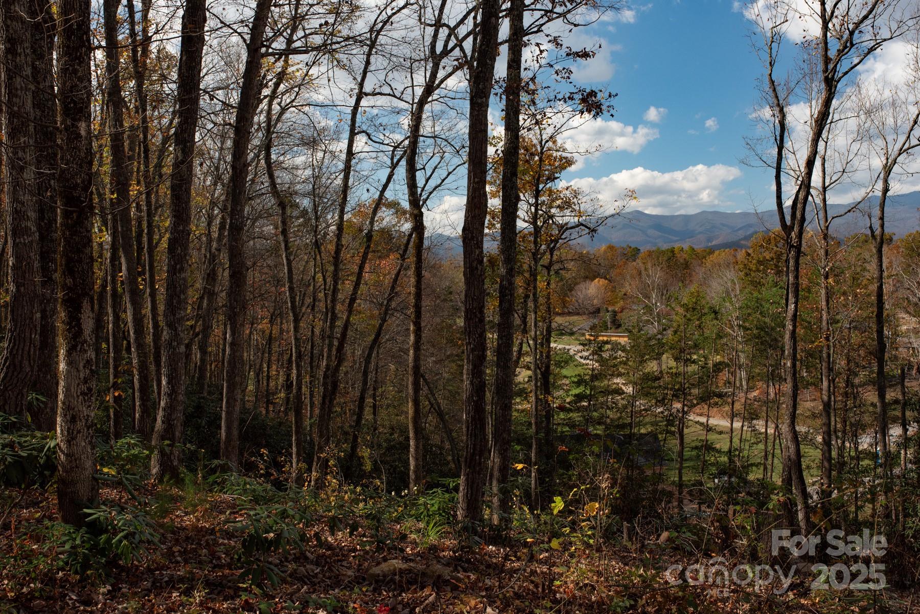 Homes for sale in Old Fort, NC | 154 South Slope Ln #18, Old Fort, NC 74848 | MLS# 4318298