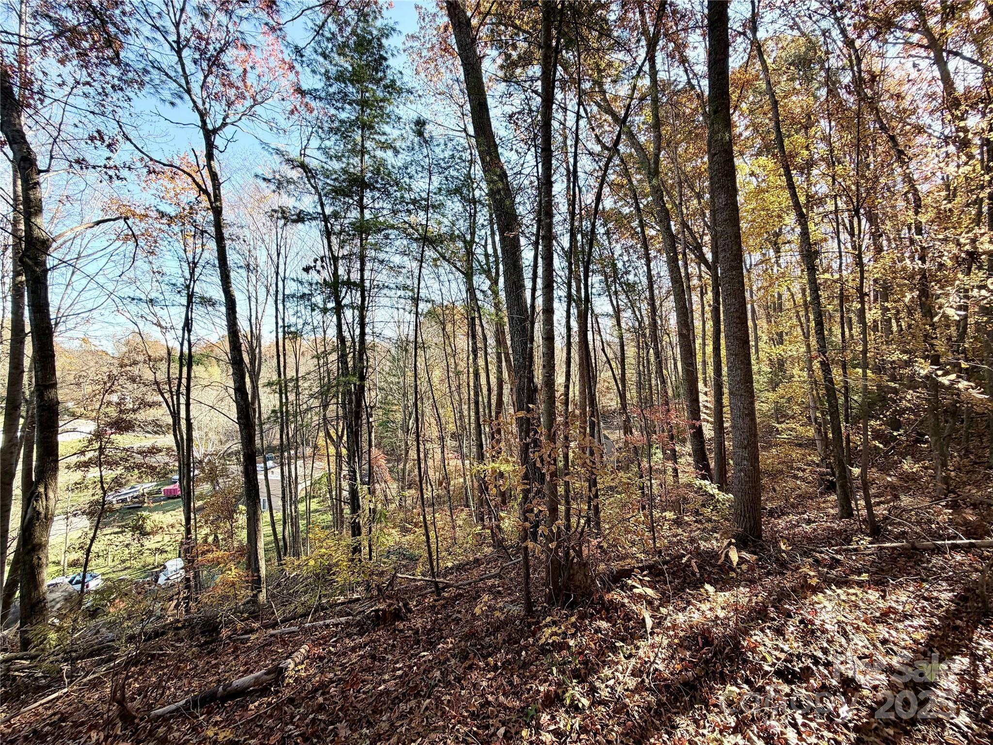 Homes for sale in Leicester, NC | 99999 Dix Creek No 1 Rd, Leicester, NC 28748 | MLS# 4318841