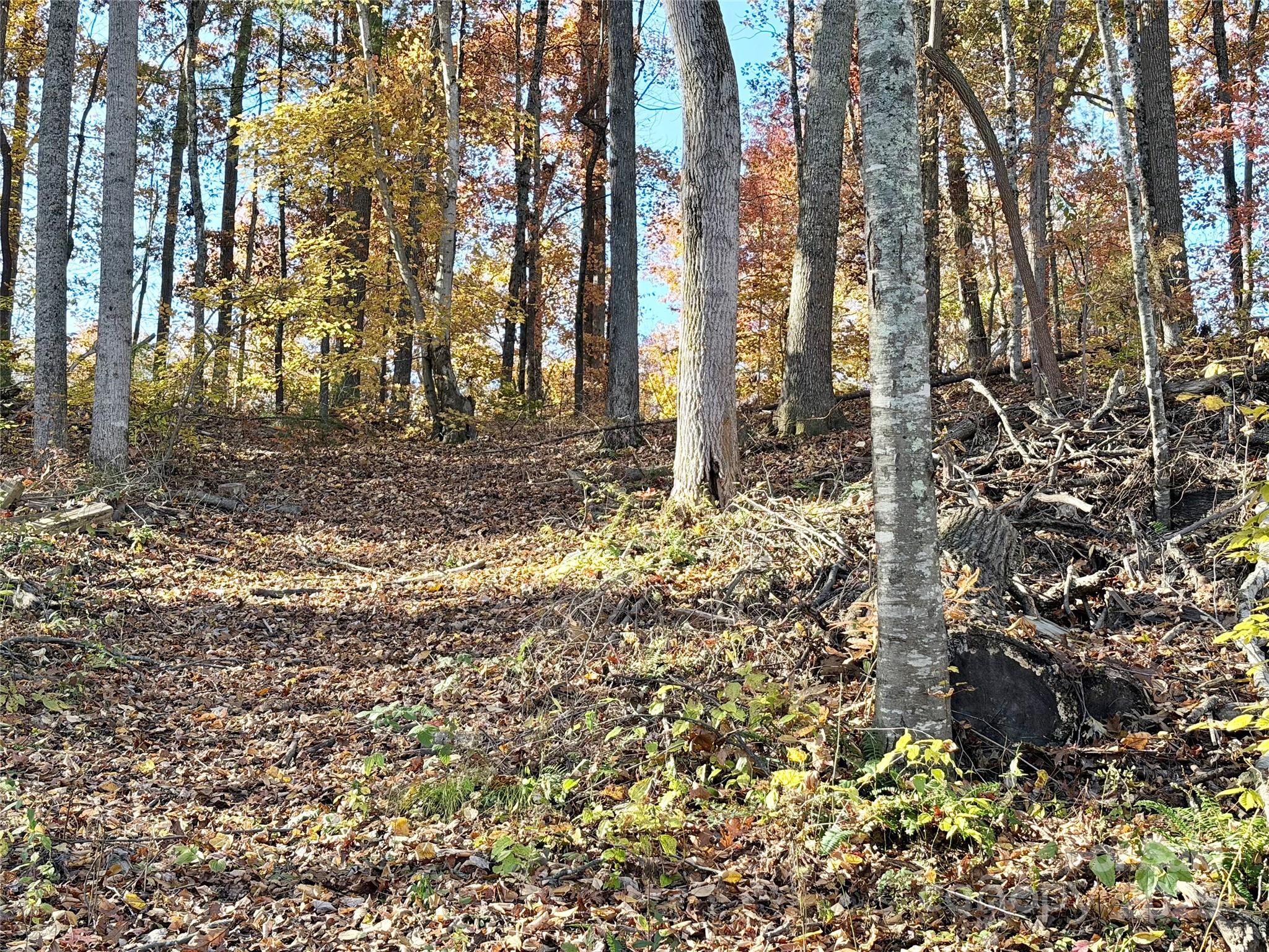 Homes for sale in Leicester, NC | 99999 Dix Creek No 1 Rd, Leicester, NC 28748 | MLS# 4318841