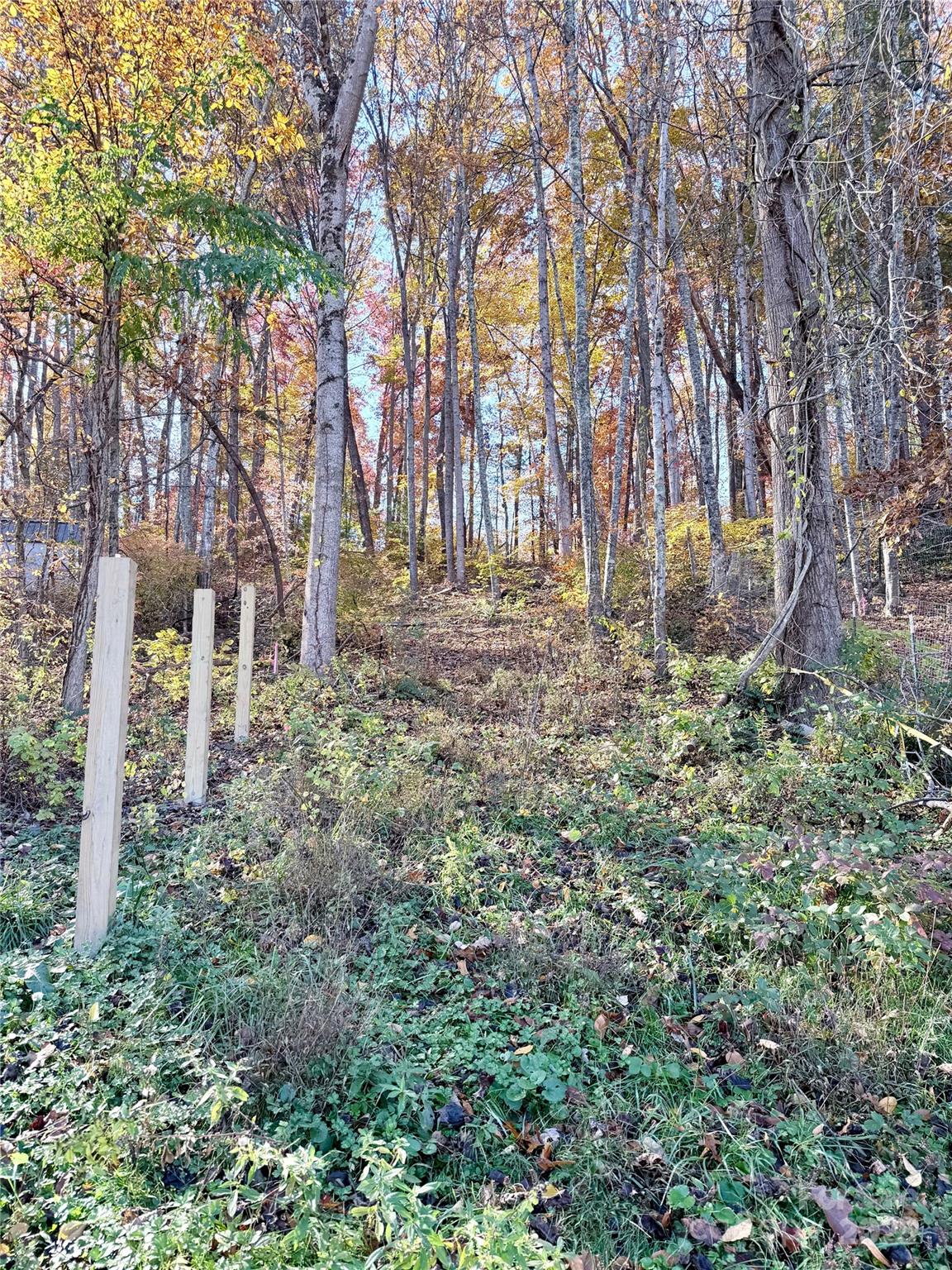 Homes for sale in Leicester, NC | 99999 Dix Creek No 1 Rd, Leicester, NC 28748 | MLS# 4318841