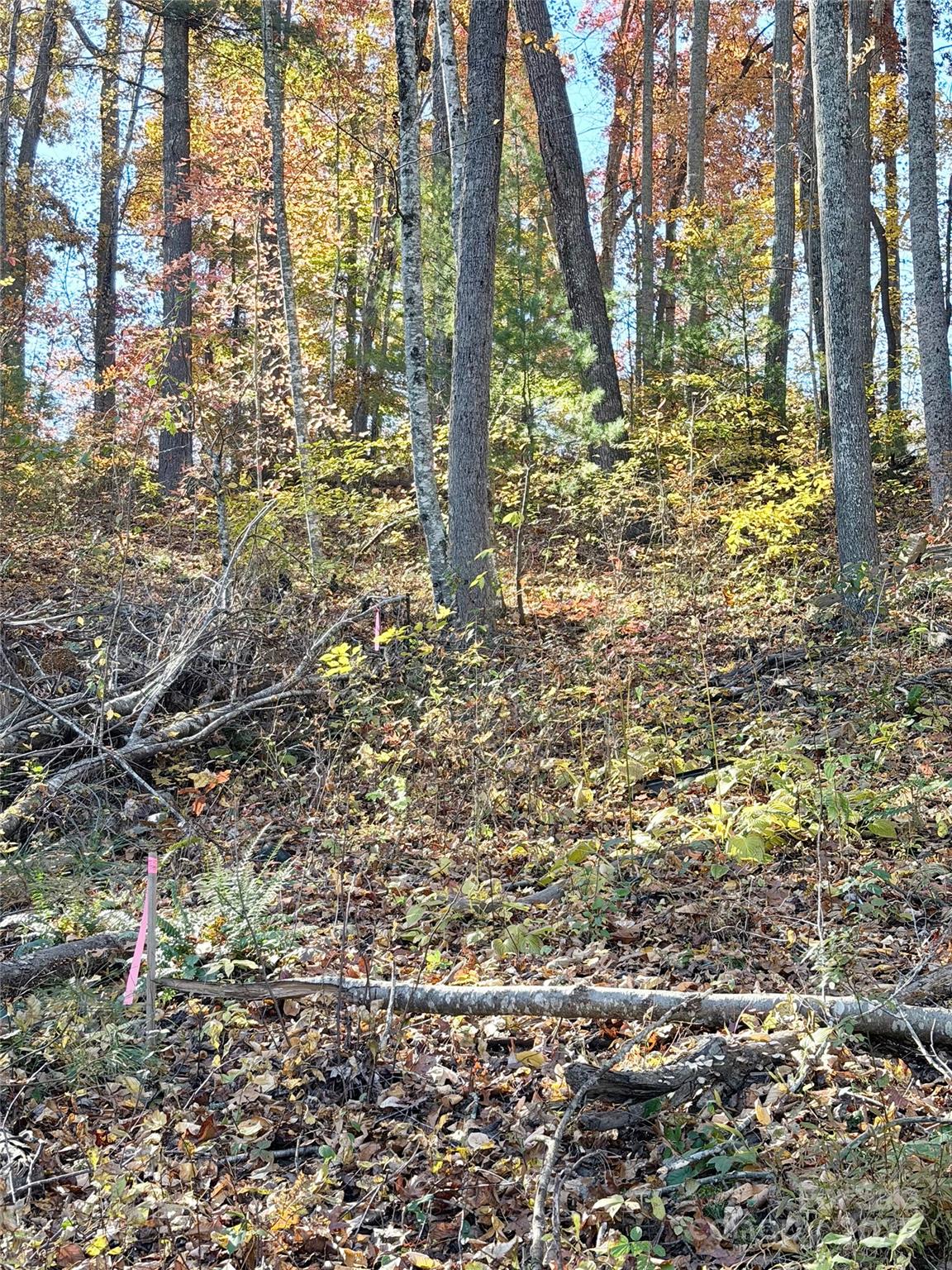 Homes for sale in Leicester, NC | 99999 Dix Creek No 1 Rd, Leicester, NC 28748 | MLS# 4318841