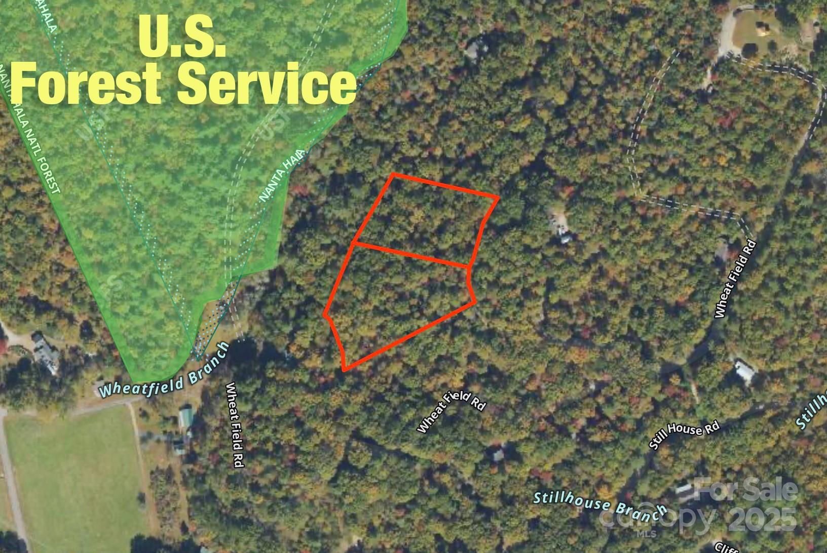 Homes for sale in Franklin, NC | 4444 Conley Ridge Trl, Franklin, NC 28734 | MLS# 4320212