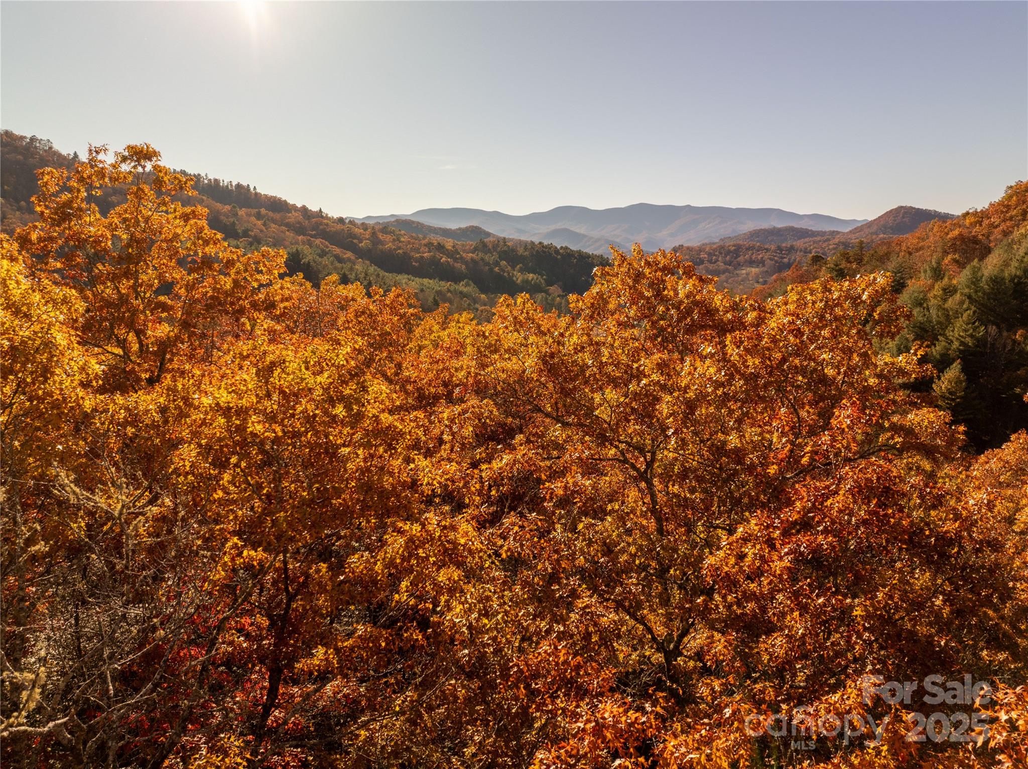 Homes for sale in Franklin, NC | 4444 Conley Ridge Trl, Franklin, NC 28734 | MLS# 4320212