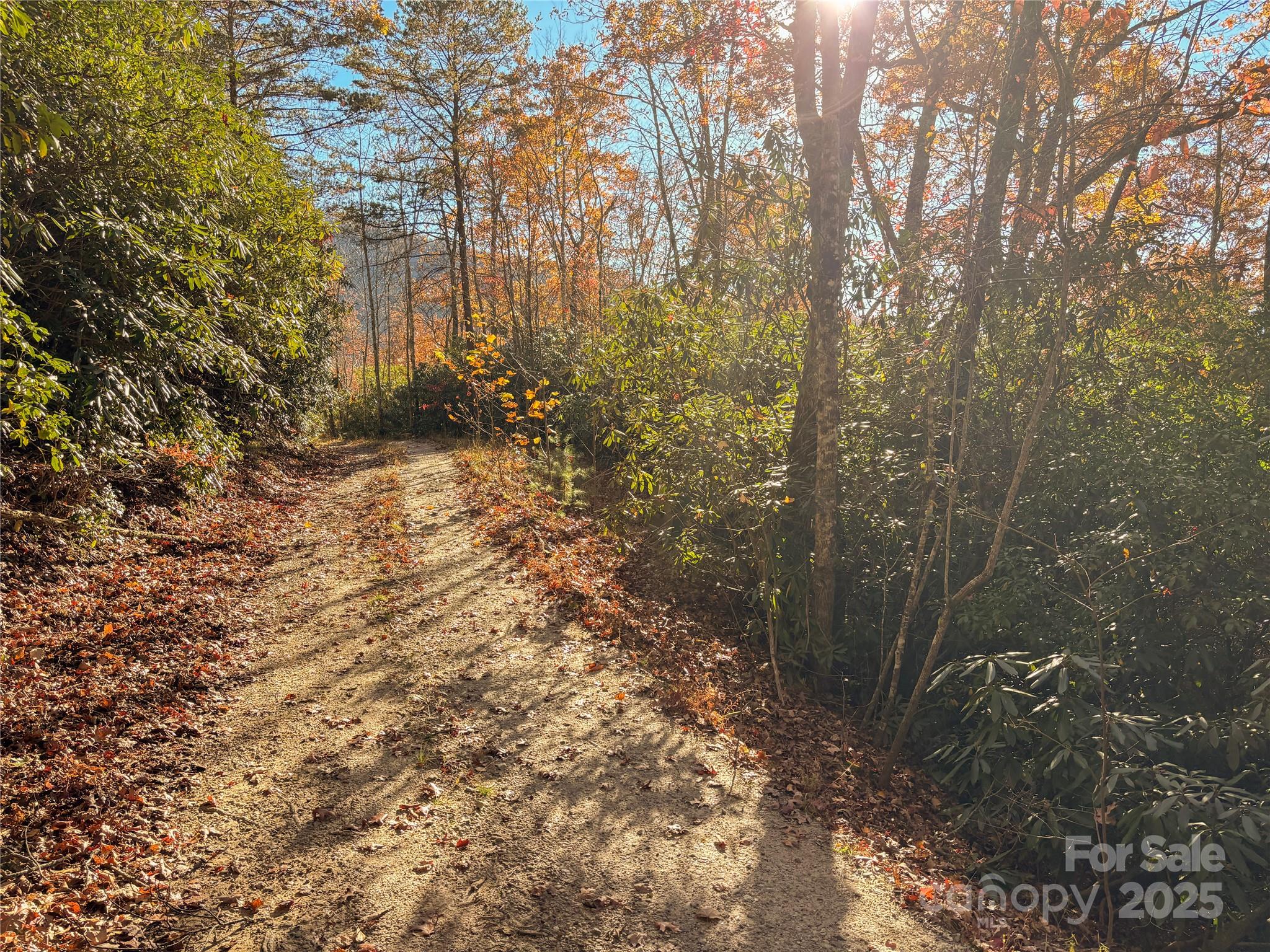 Homes for sale in Franklin, NC | 4444 Conley Ridge Trl, Franklin, NC 28734 | MLS# 4320212