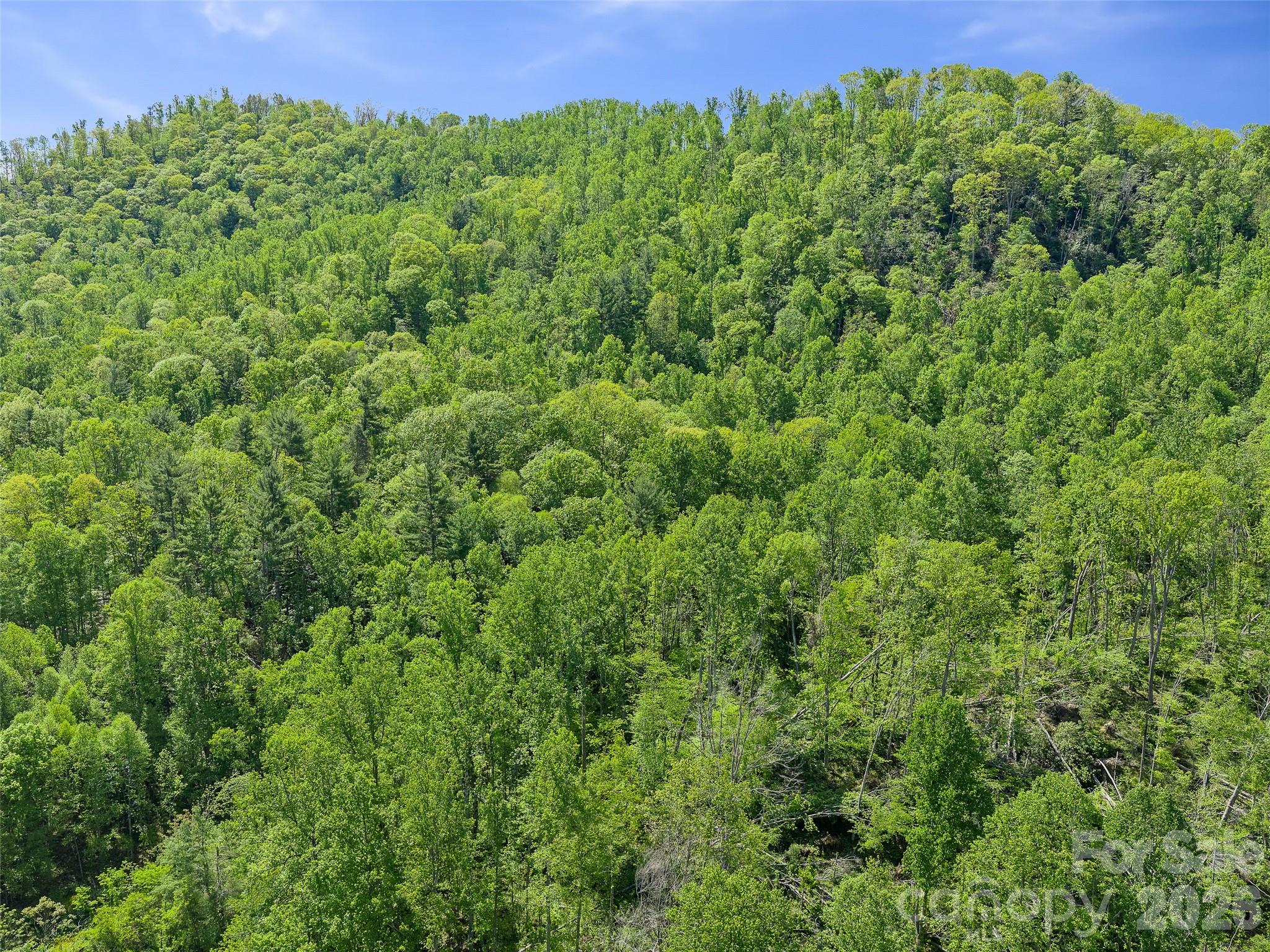 Photo 4 of Single family home for sale at 615 Fred Sparks Rd, Bakersville, NC 28705 | MLS# 4322515 | Listing updated on 2026-05-04