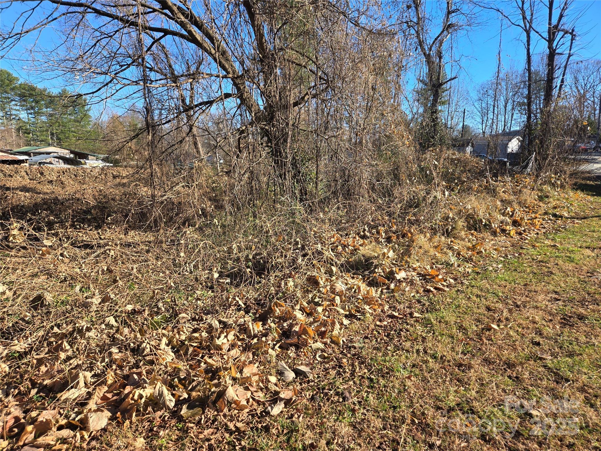 Homes for sale in East Flat Rock, NC | 73 Trailing Vine Ln, East Flat Rock, NC 28726 | MLS# 4326087