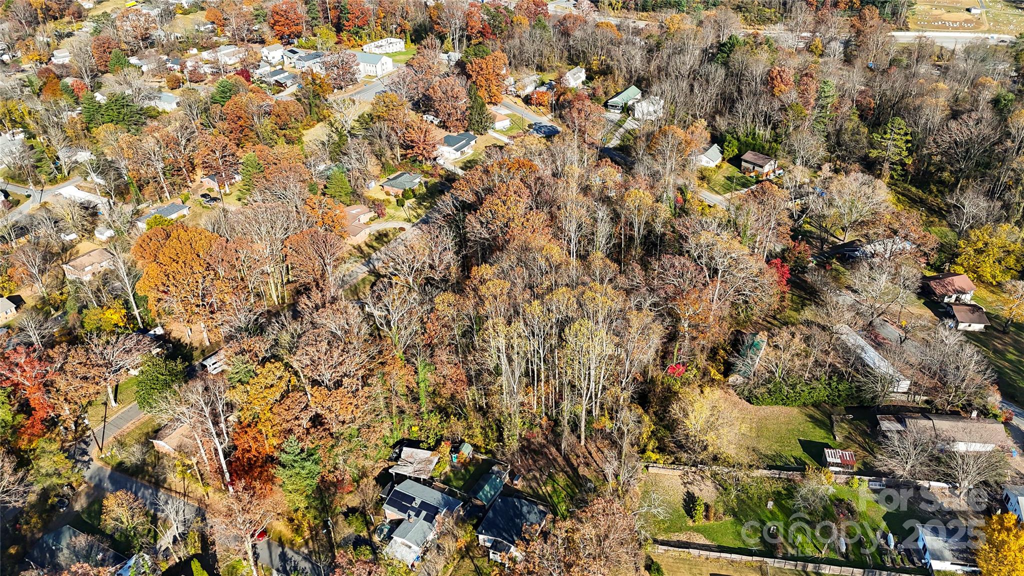 Homes for sale in Asheville, NC | 99999 Caribou Rd, Asheville, NC 28803 | MLS# 4326604
