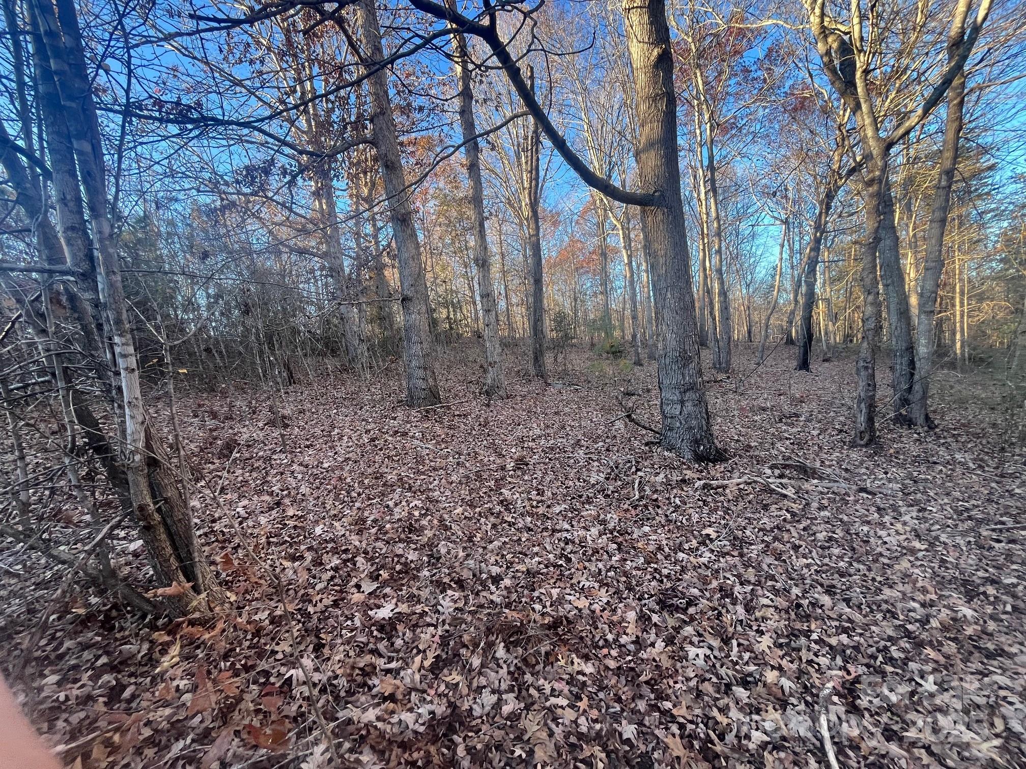 Homes for sale in Forest City, NC | V/l Hudlow Rd, Forest City, NC 28043 | MLS# 4326686