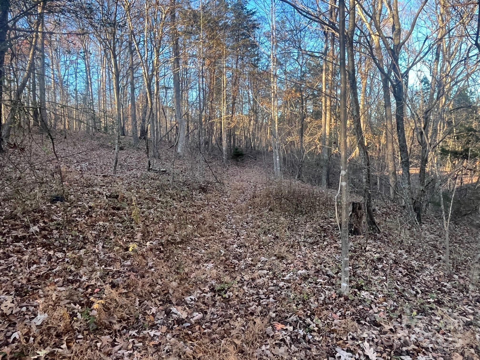 Homes for sale in Forest City, NC | V/l Hudlow Rd, Forest City, NC 28043 | MLS# 4326686