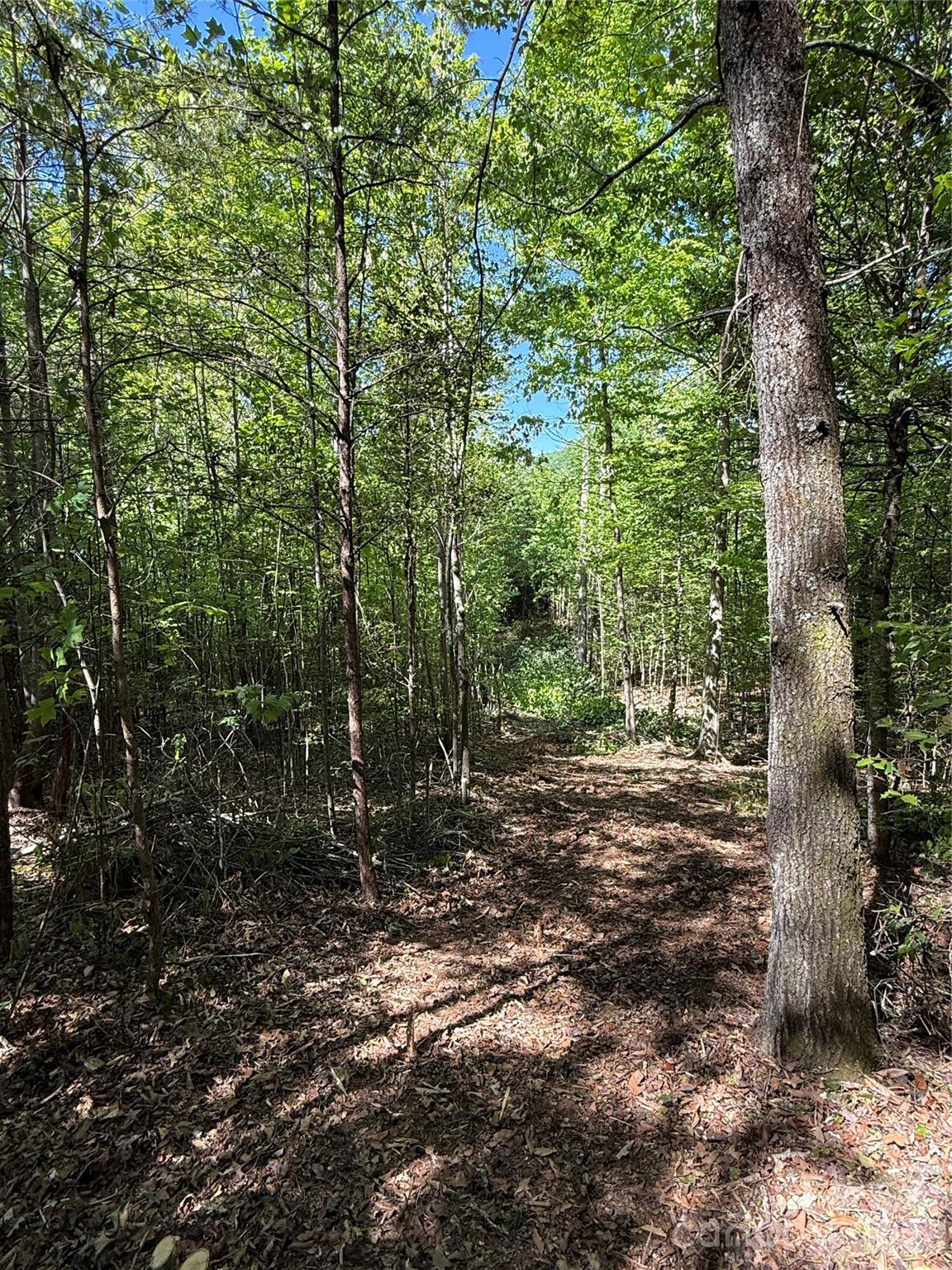 4th image of Lot # 4 West Legacy Dr #4, Hendersonville, NC 28739 | MLS# 4326783