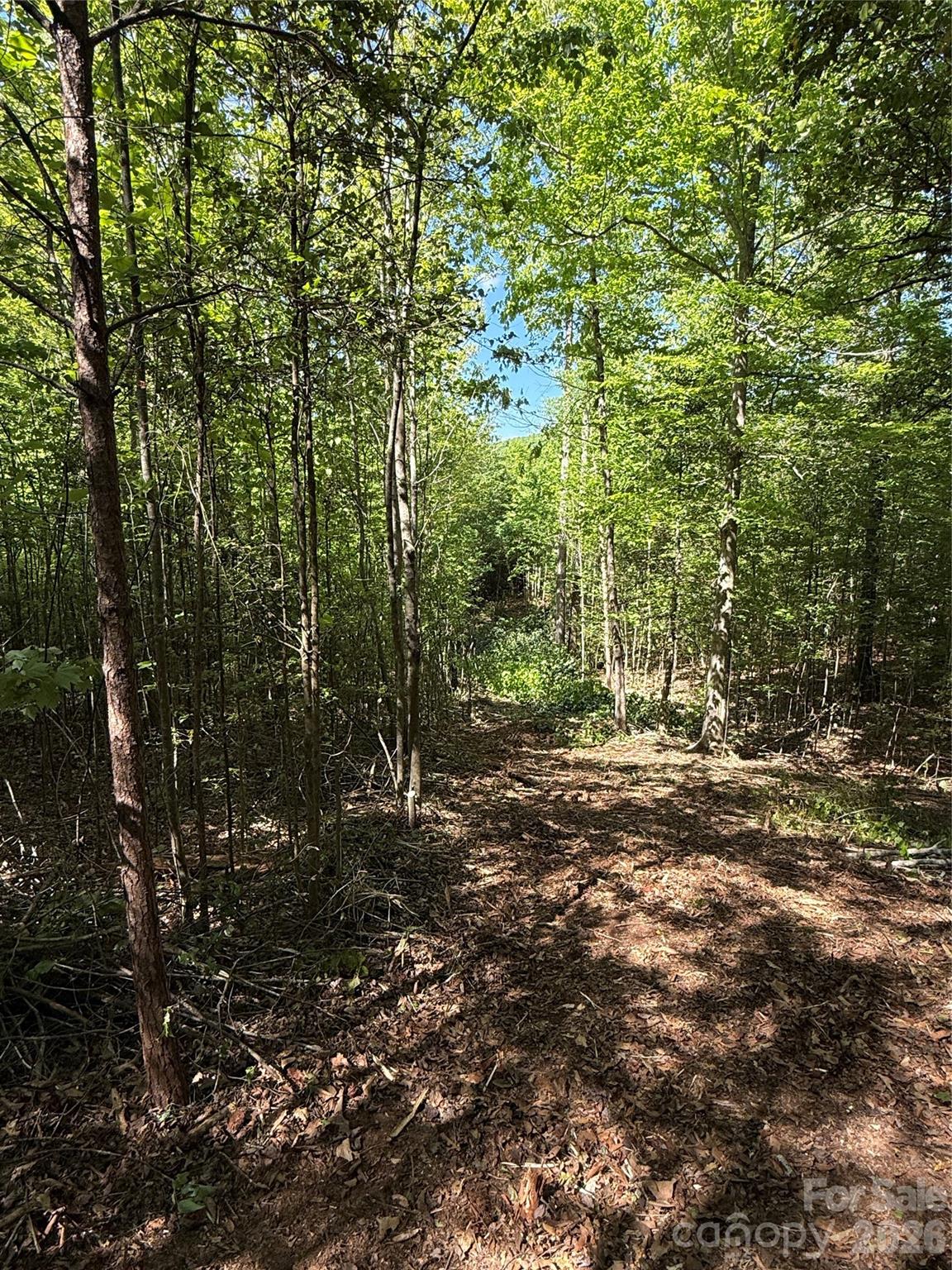 2nd image of Lot # 4 West Legacy Dr #4, Hendersonville, NC 28739 | MLS# 4326783
