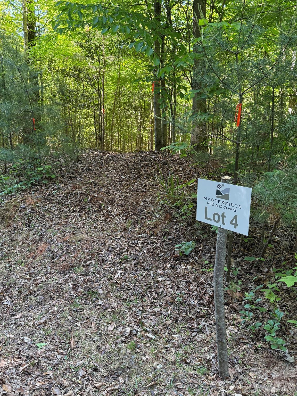 16th image of Lot # 4 West Legacy Dr #4, Hendersonville, NC 28739 | MLS# 4326783