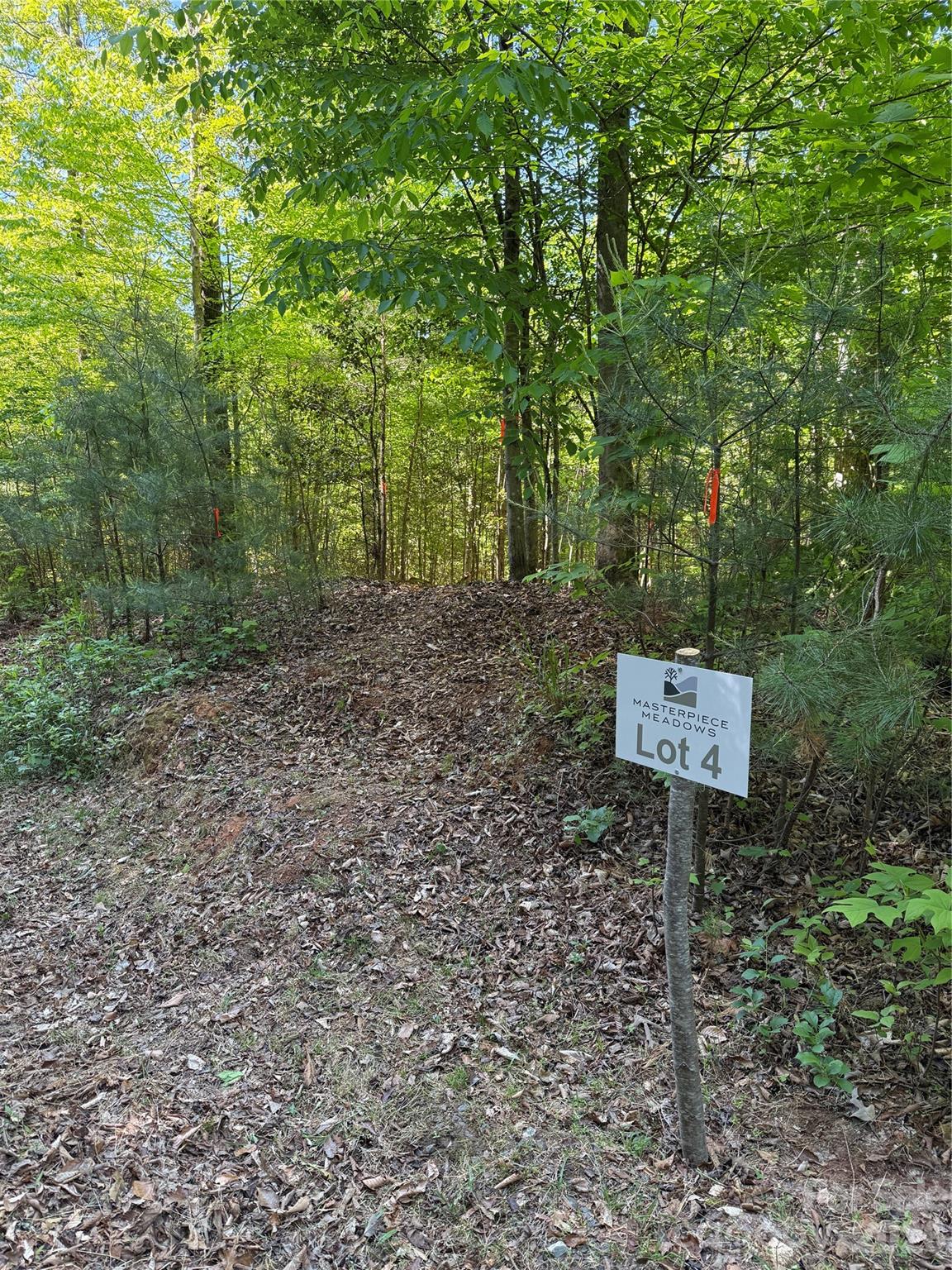 5th image of Lot # 4 West Legacy Dr #4, Hendersonville, NC 28739 | MLS# 4326783