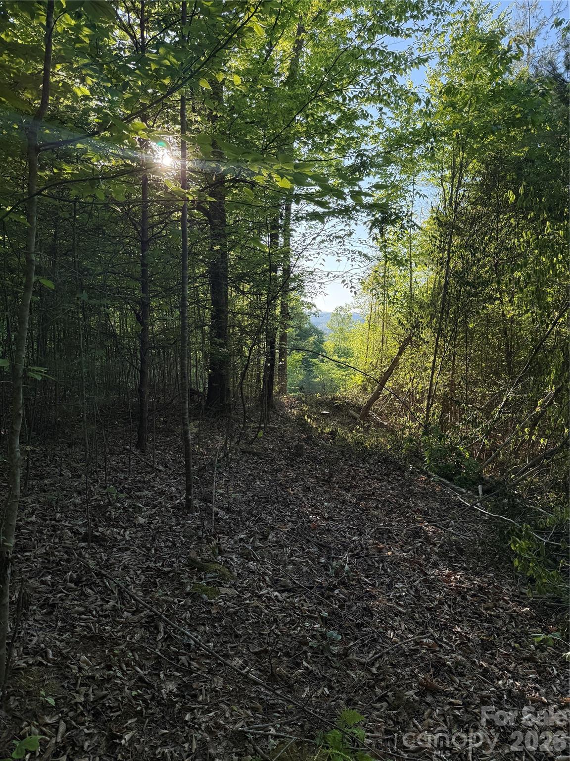 2nd image of Lot # 6 West Legacy Dr #6, Hendersonville, NC 28739 | MLS# 4326791