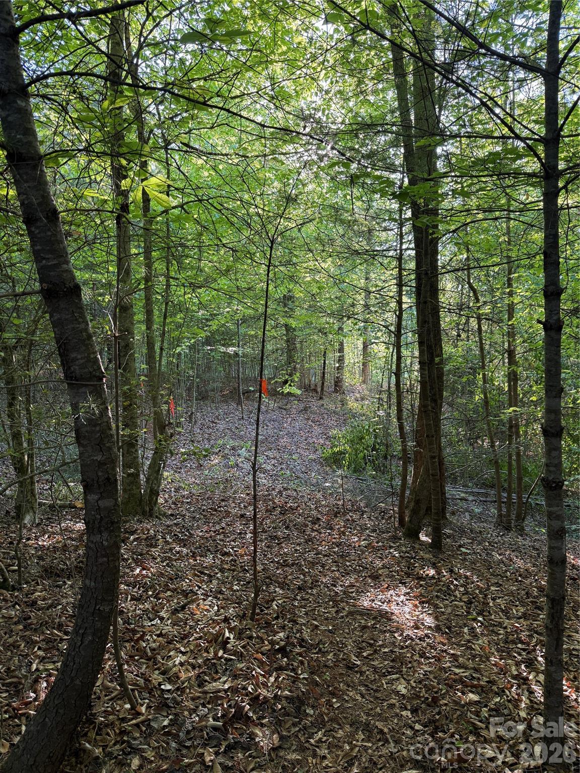 3rd image of Lot # 6 West Legacy Dr #6, Hendersonville, NC 28739 | MLS# 4326791