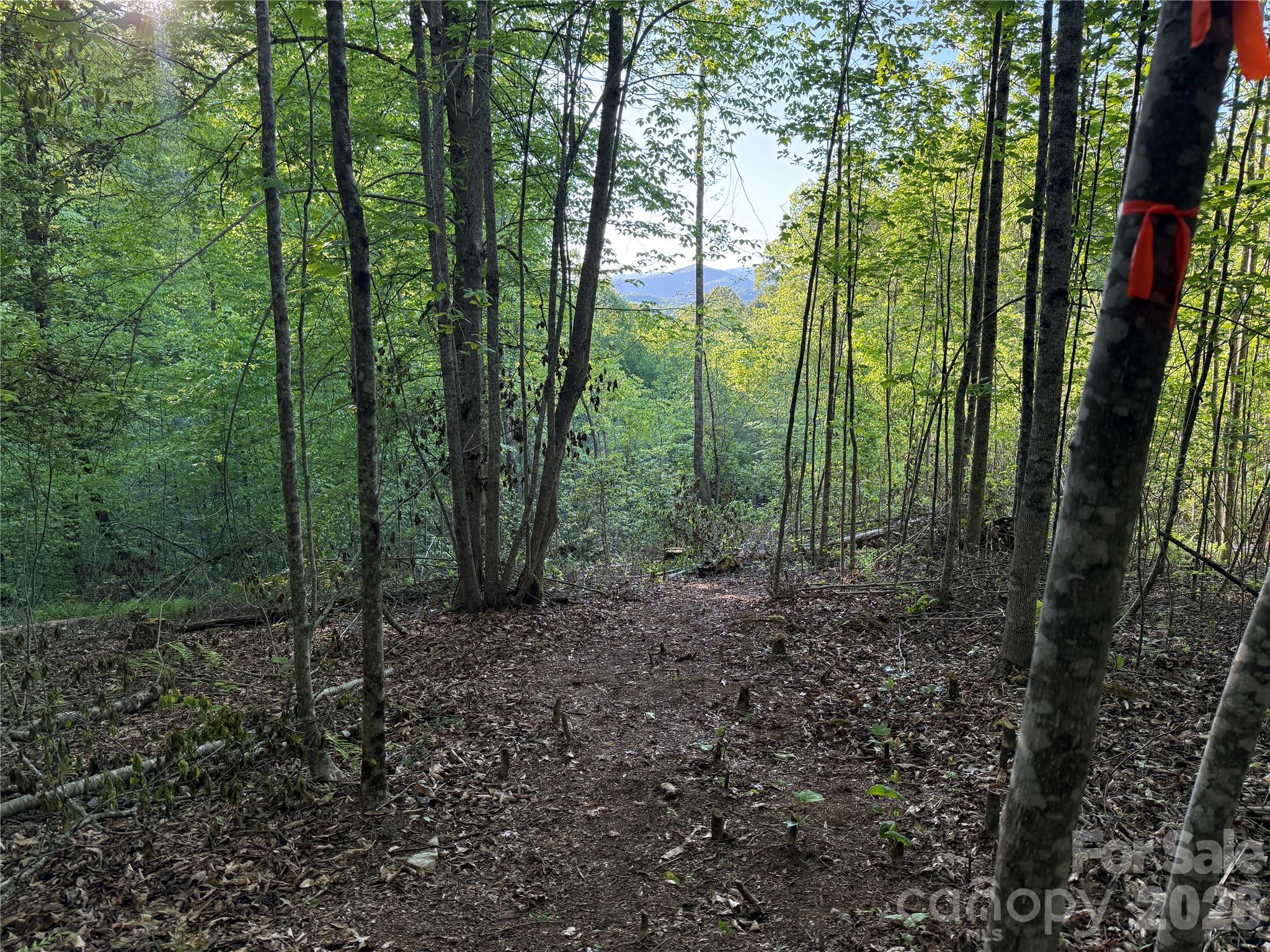 1st image of Lot # 6 West Legacy Dr #6, Hendersonville, NC 28739 | MLS# 4326791