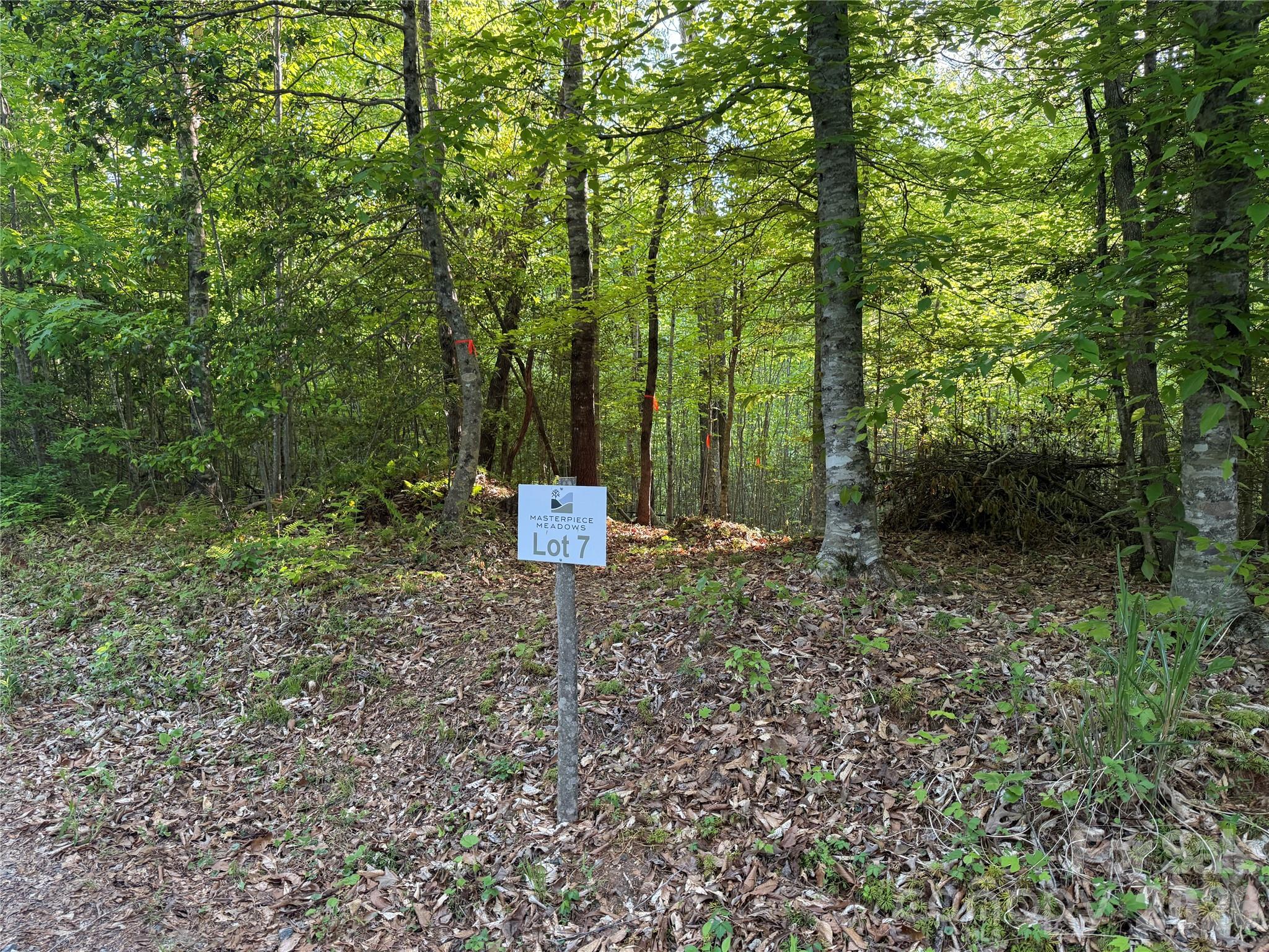 31st image of Lot # 7 West Legacy Dr #7, Hendersonville, NC 28739 | MLS# 4326809