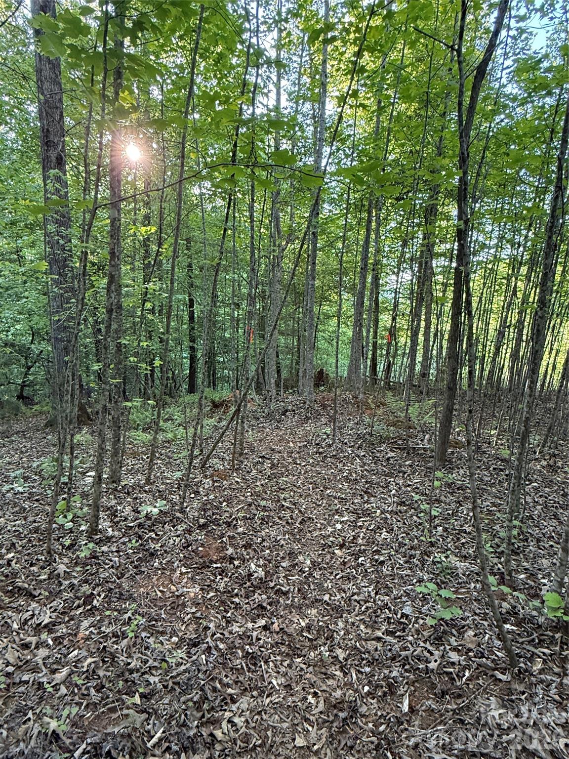 5th image of Lot # 7 West Legacy Dr #7, Hendersonville, NC 28739 | MLS# 4326809